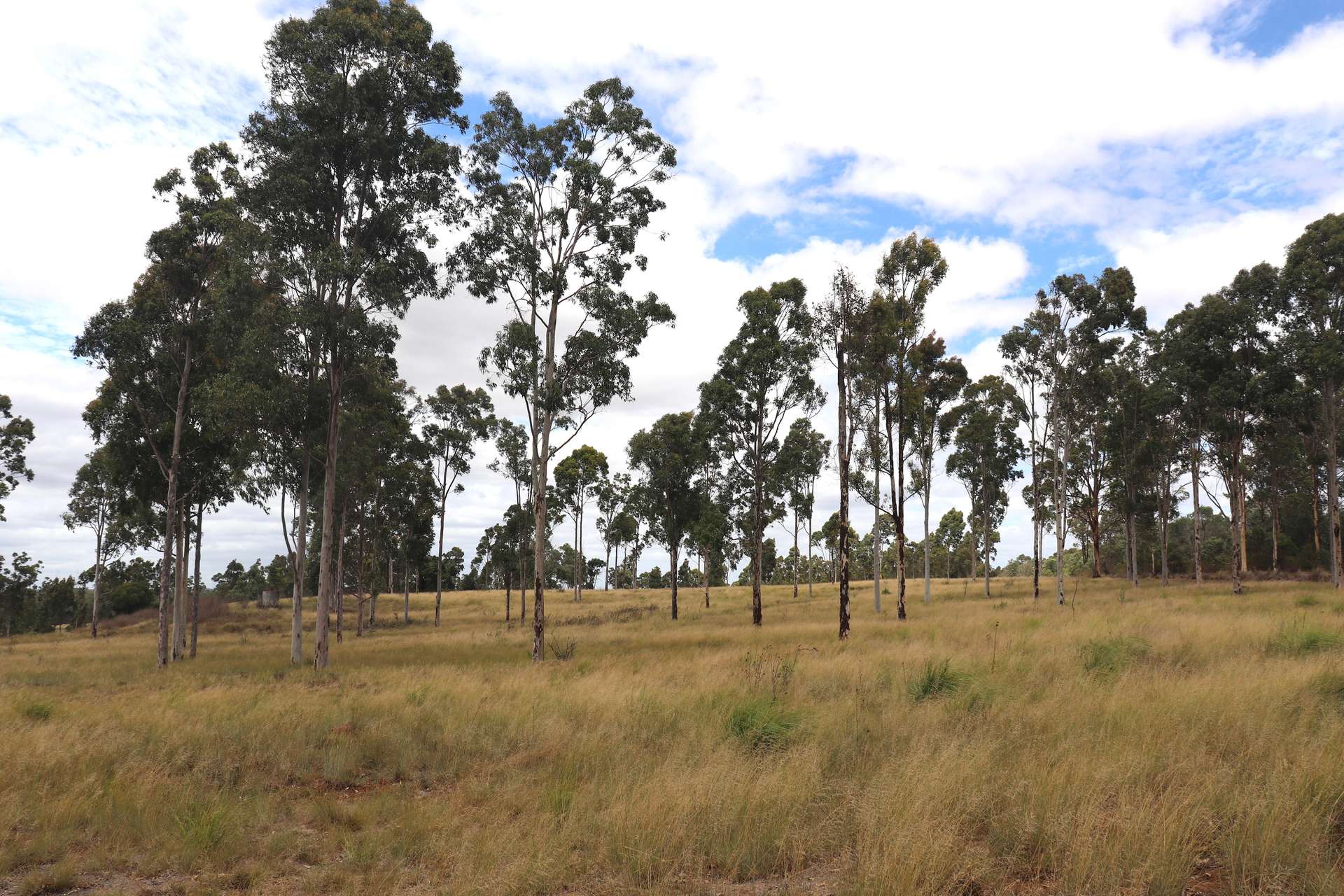 225 Beils Road, Inverlaw For Sale by Farmbuy.com - image 5