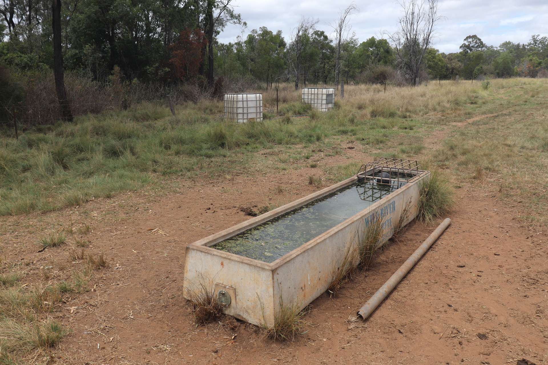 225 Beils Road, Inverlaw For Sale by Farmbuy.com - image 7