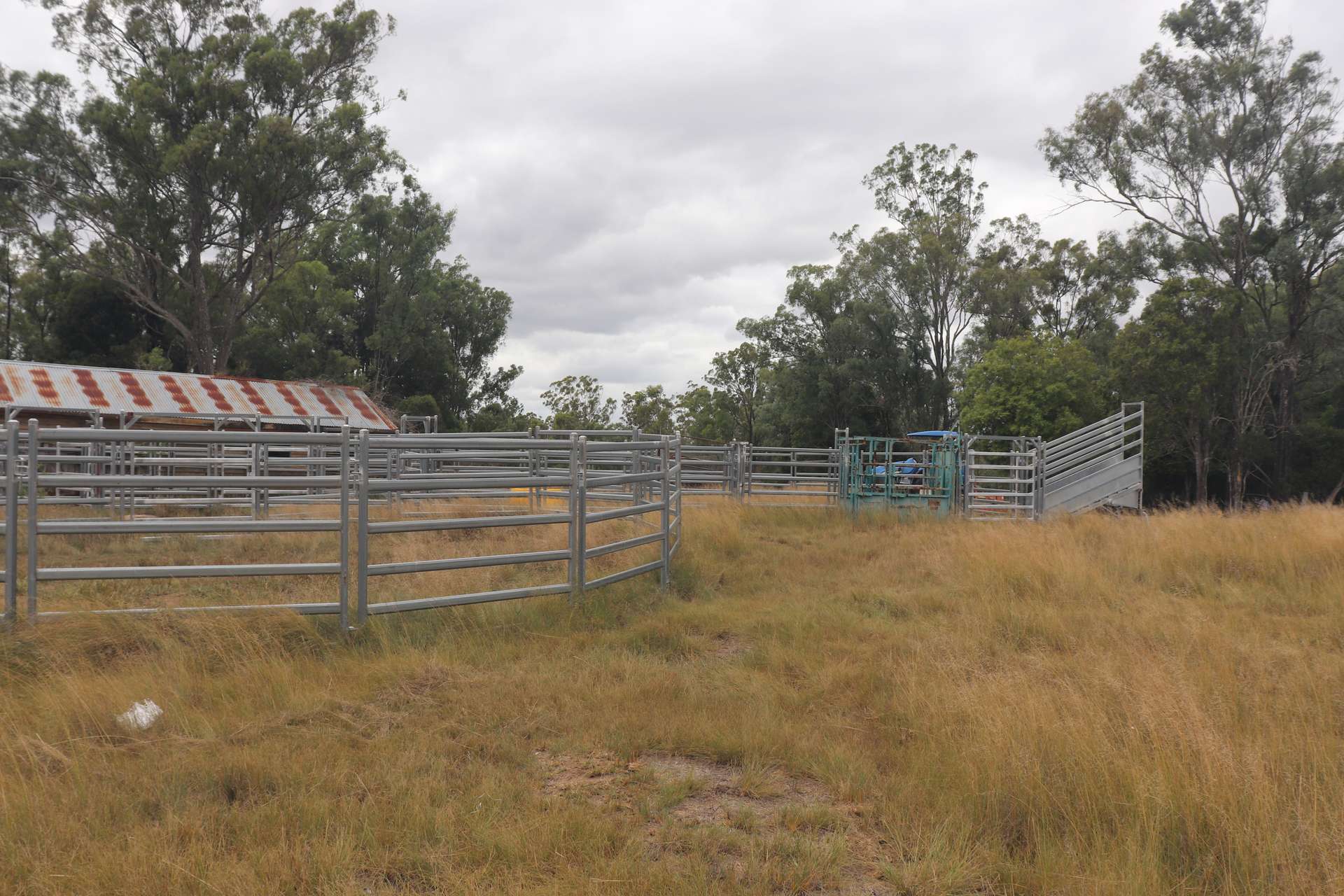 225 Beils Road, Inverlaw For Sale by Farmbuy.com - image 16