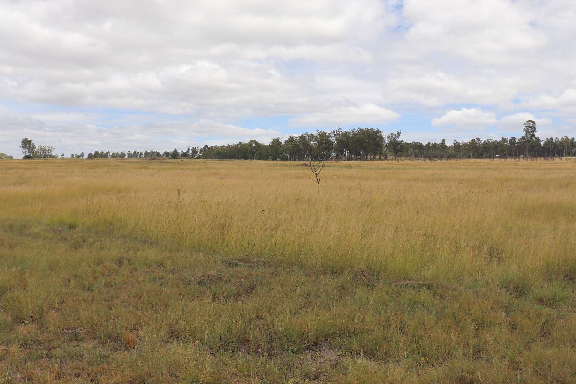 225 Beils Road, Inverlaw For Sale by Farmbuy.com - image 8