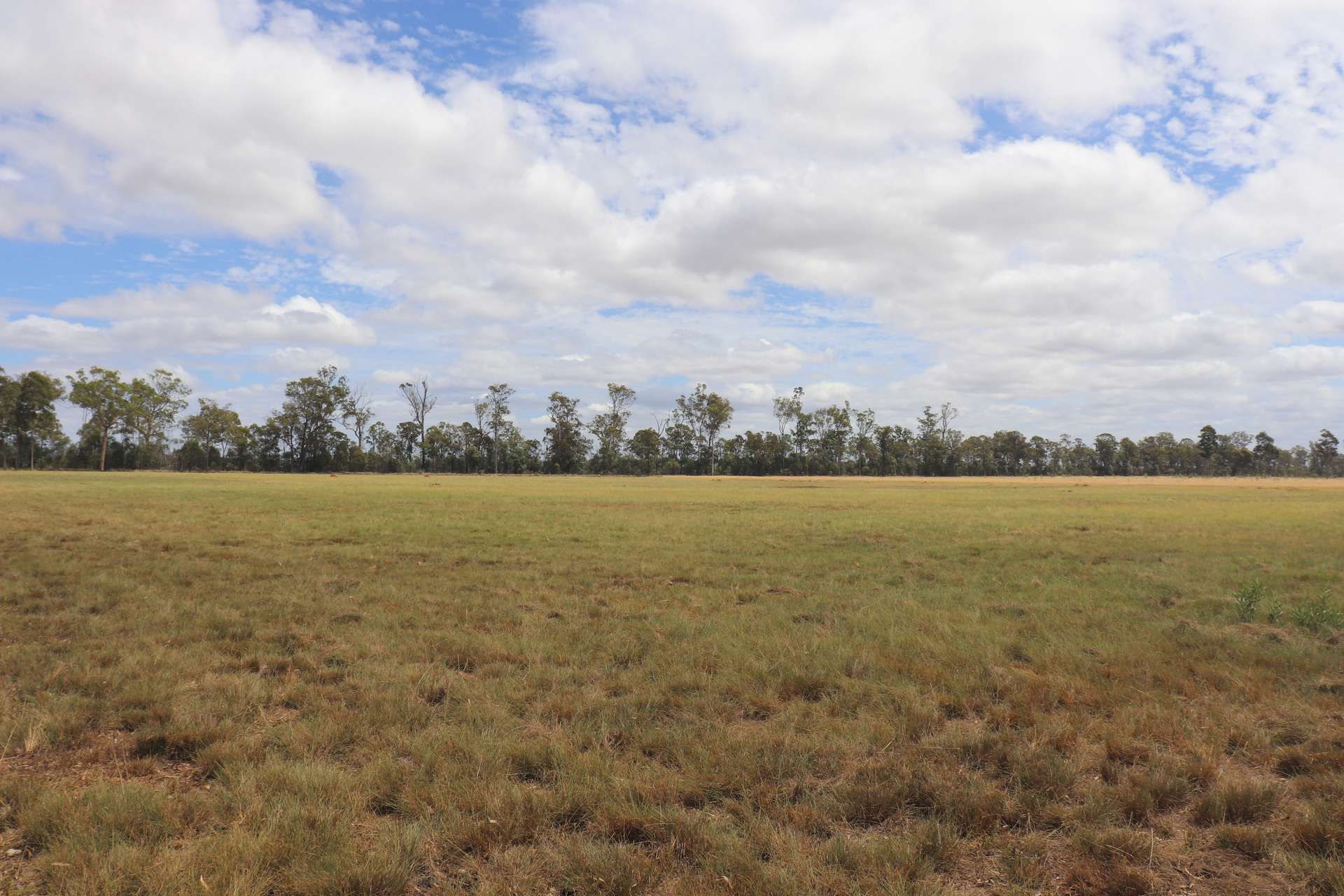225 Beils Road, Inverlaw For Sale by Farmbuy.com - image 2