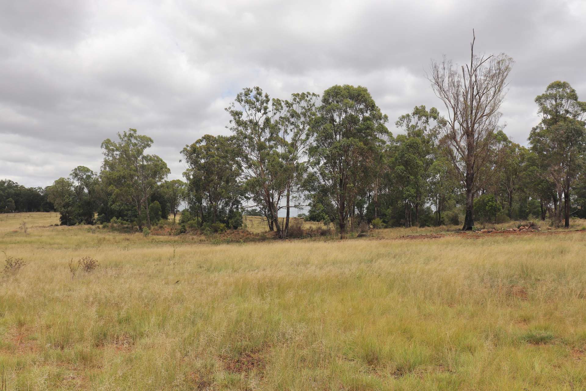 225 Beils Road, Inverlaw For Sale by Farmbuy.com - image 14