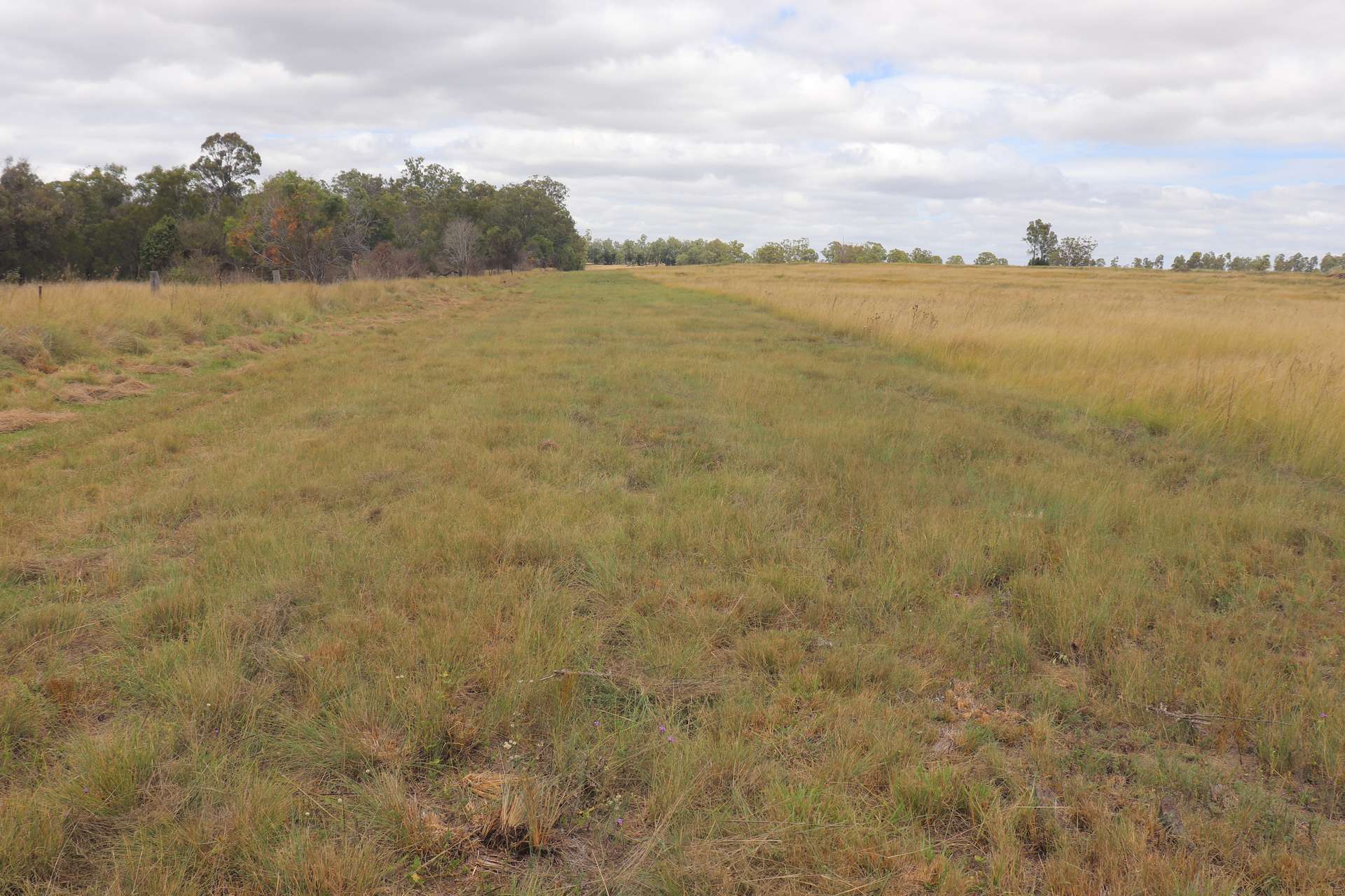 225 Beils Road, Inverlaw For Sale by Farmbuy.com - image 9