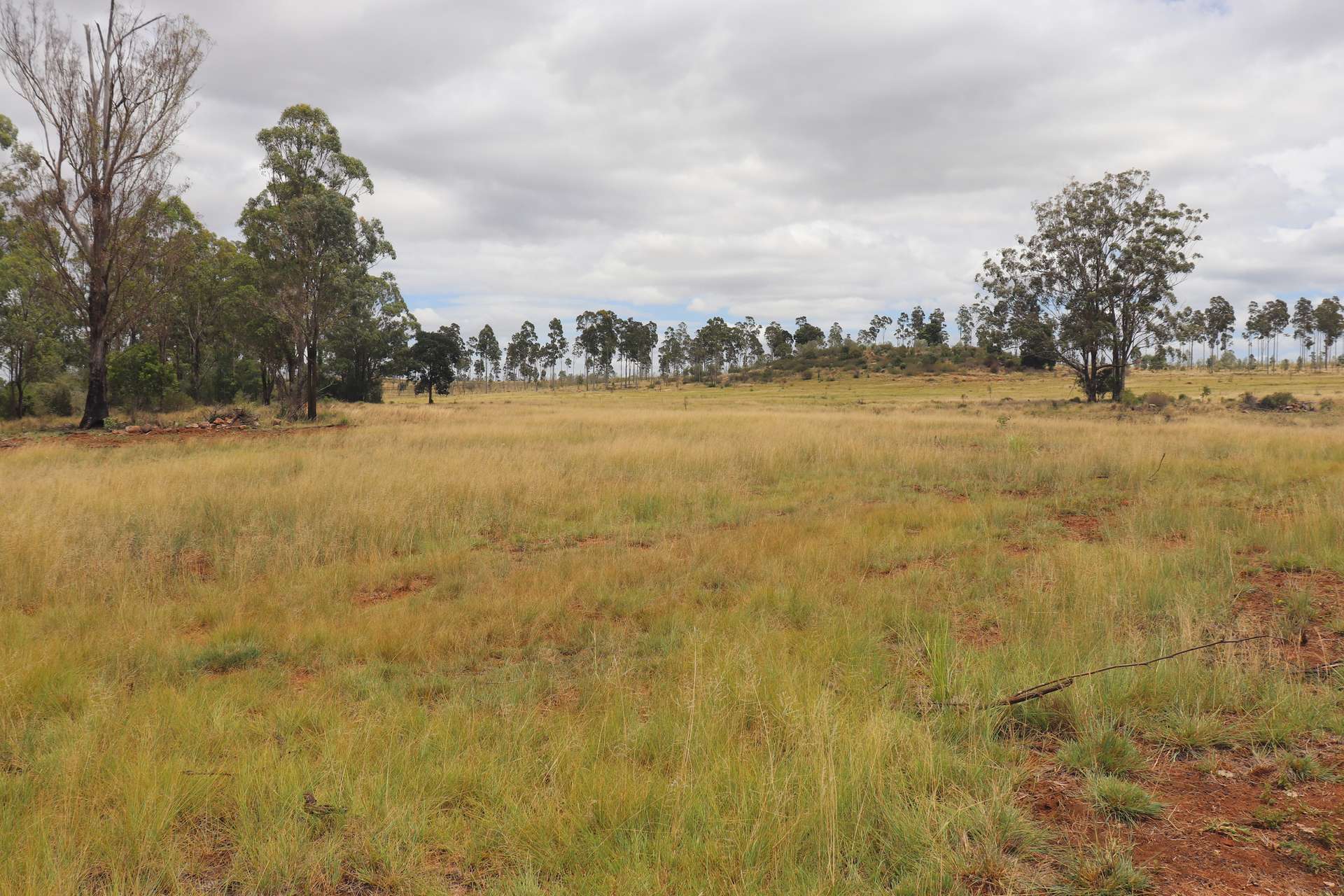225 Beils Road, Inverlaw For Sale by Farmbuy.com - image 13