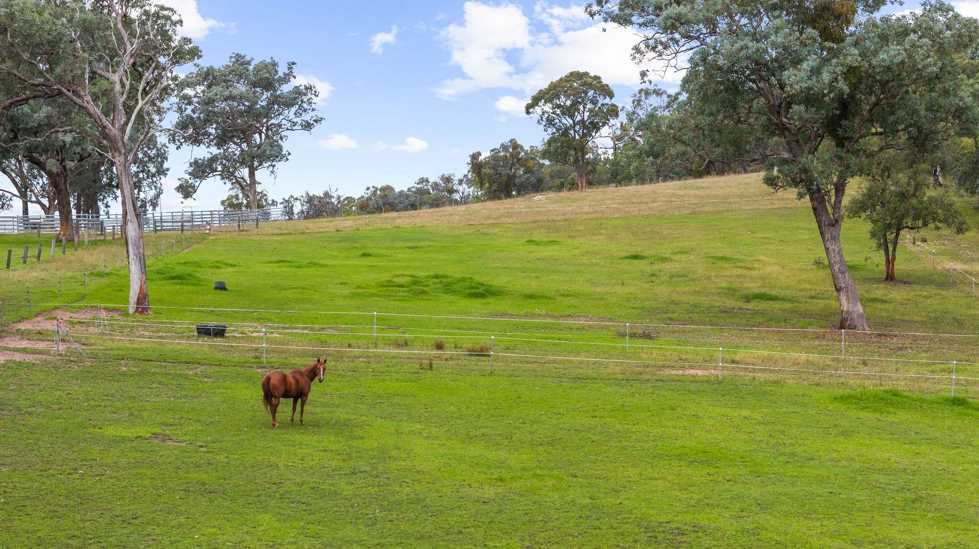 20 Clynes Road, Tinamba West For Sale by Farmbuy.com - image 30