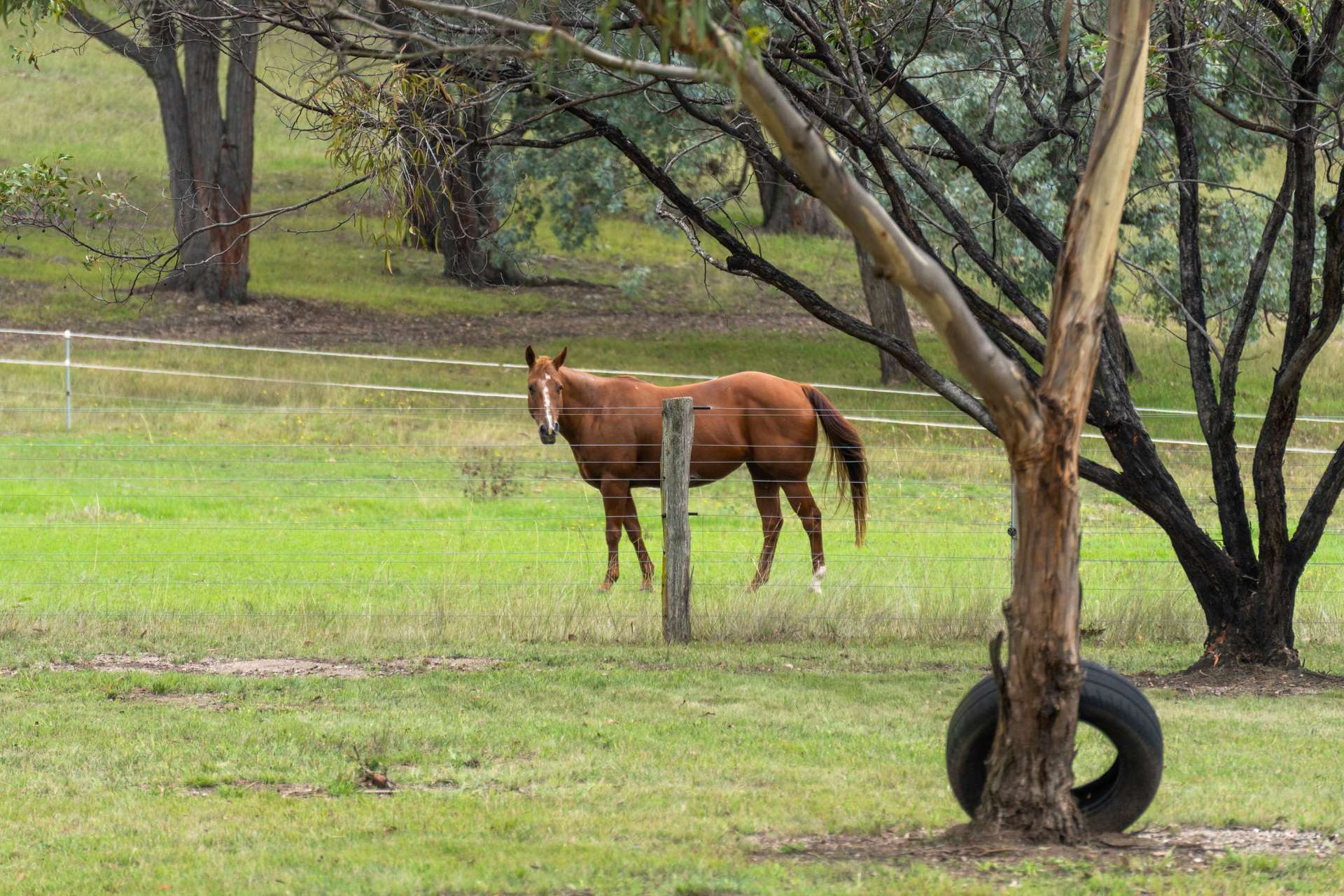 20 Clynes Road, Tinamba West For Sale by Farmbuy.com - image 32