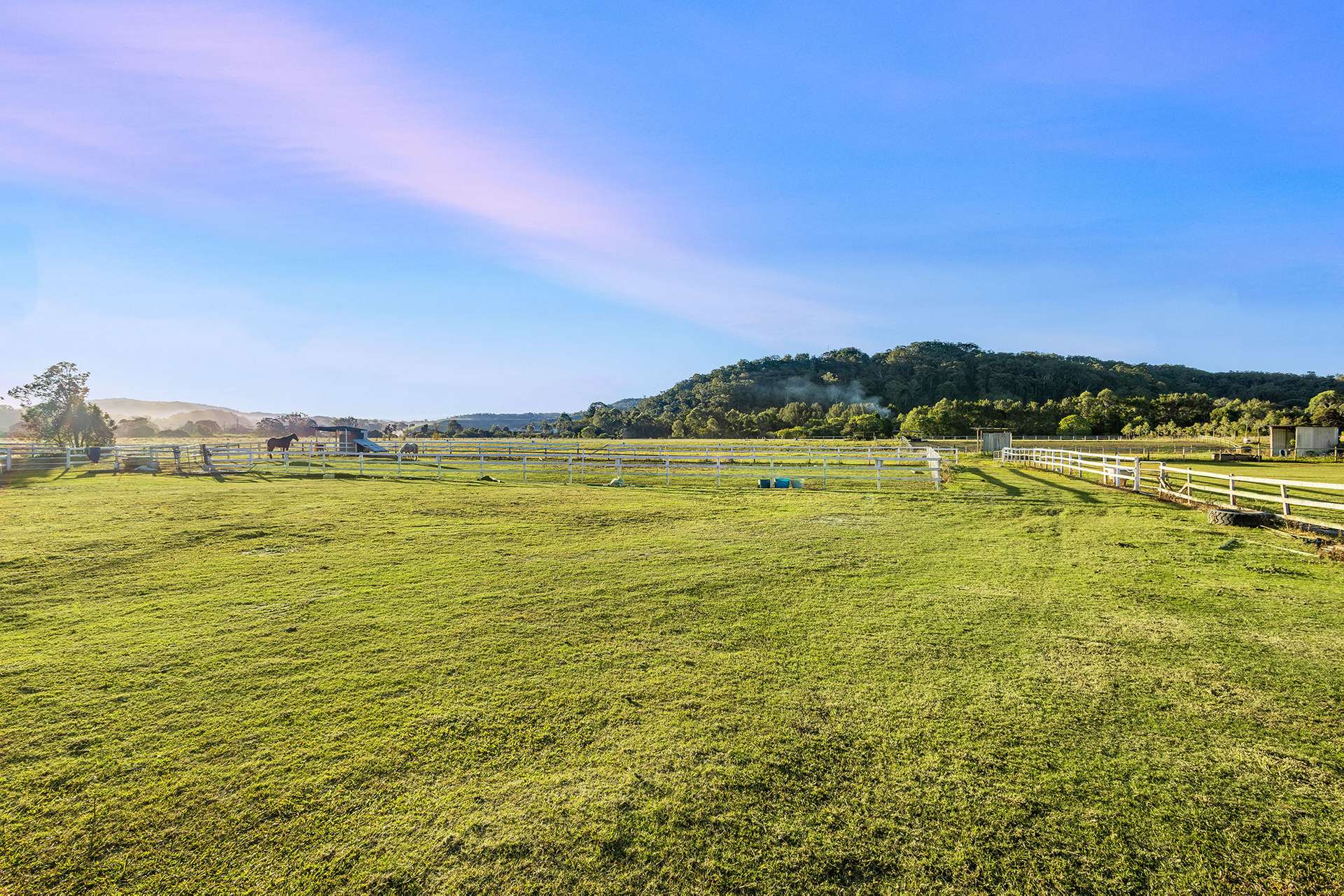 163-187 Petrie Creek Road, Rosemount For Sale by Farmbuy.com - image 19