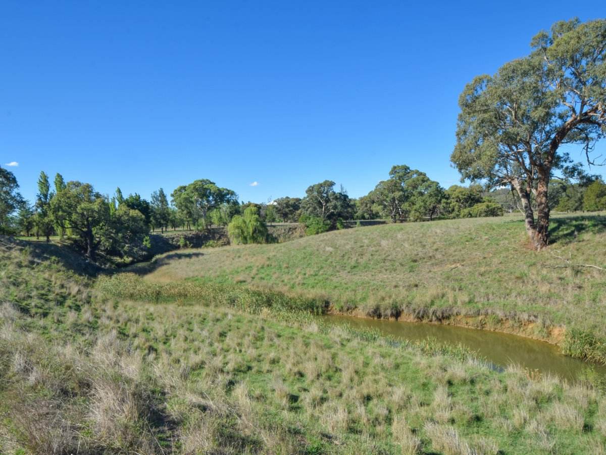 65 Maimuru Rd, Maimuru For Sale by Farmbuy.com - image 21
