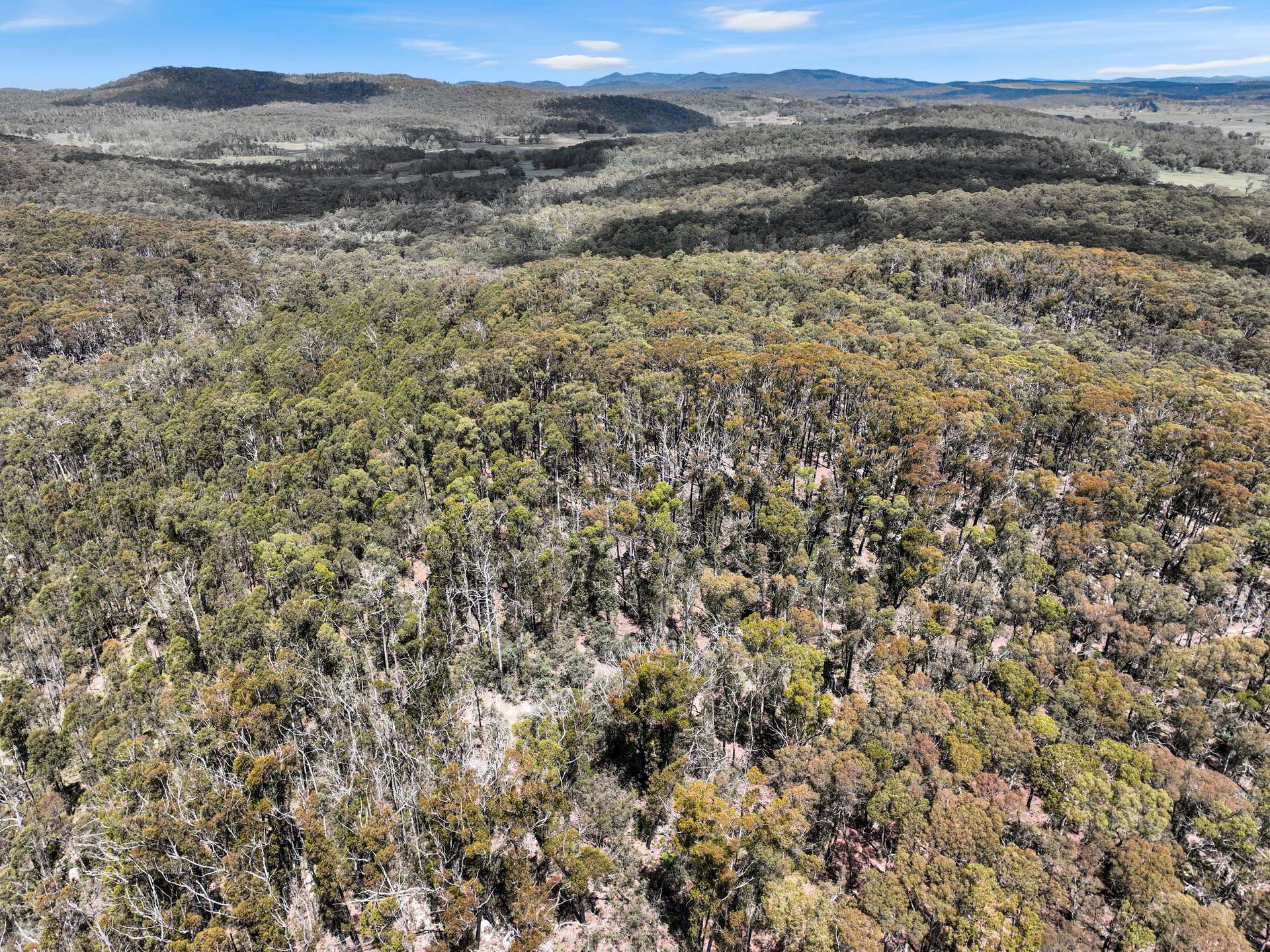 Lot 51 Tantawangalo Mountain Road, Cathcart Sold by Farmbuy.com - image 27