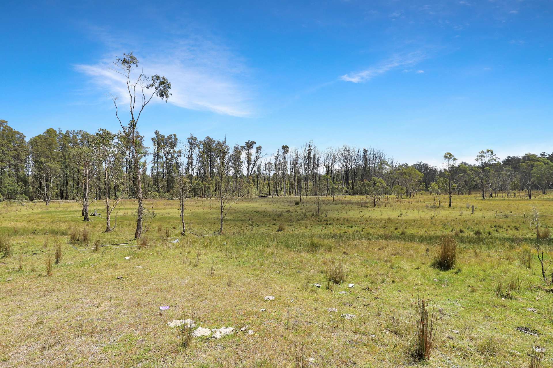 Lot 51 Tantawangalo Mountain Road, Cathcart Sold by Farmbuy.com - image 1