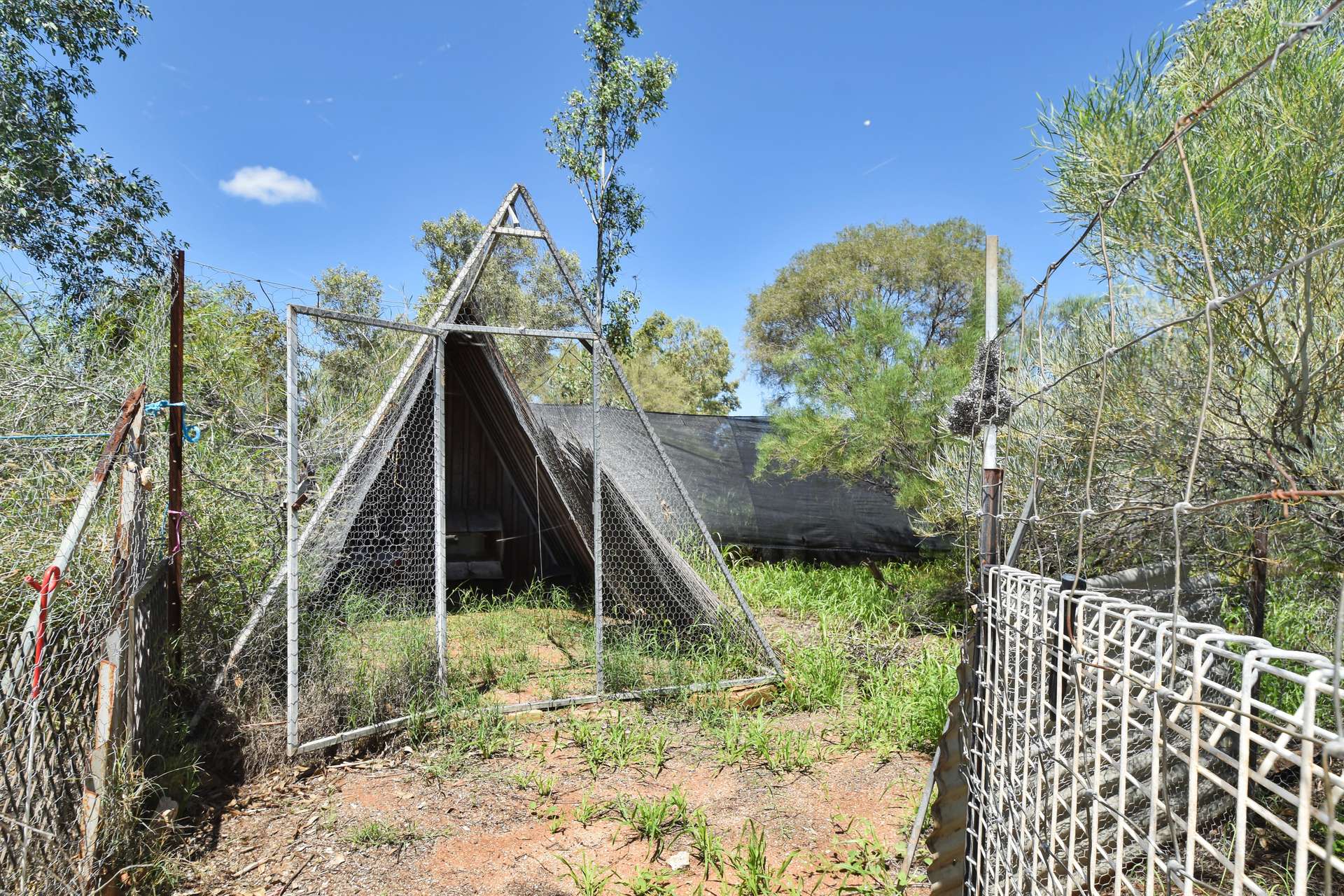 183 Heffernan Road, Connellan For Sale by Farmbuy.com - image 30