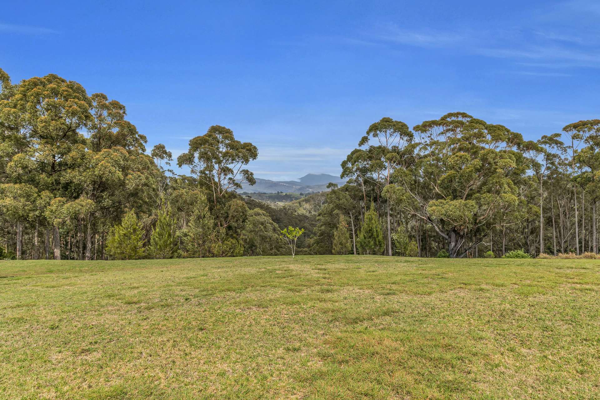 217 Newpark Road, Brogo For Sale by Farmbuy.com - image 13