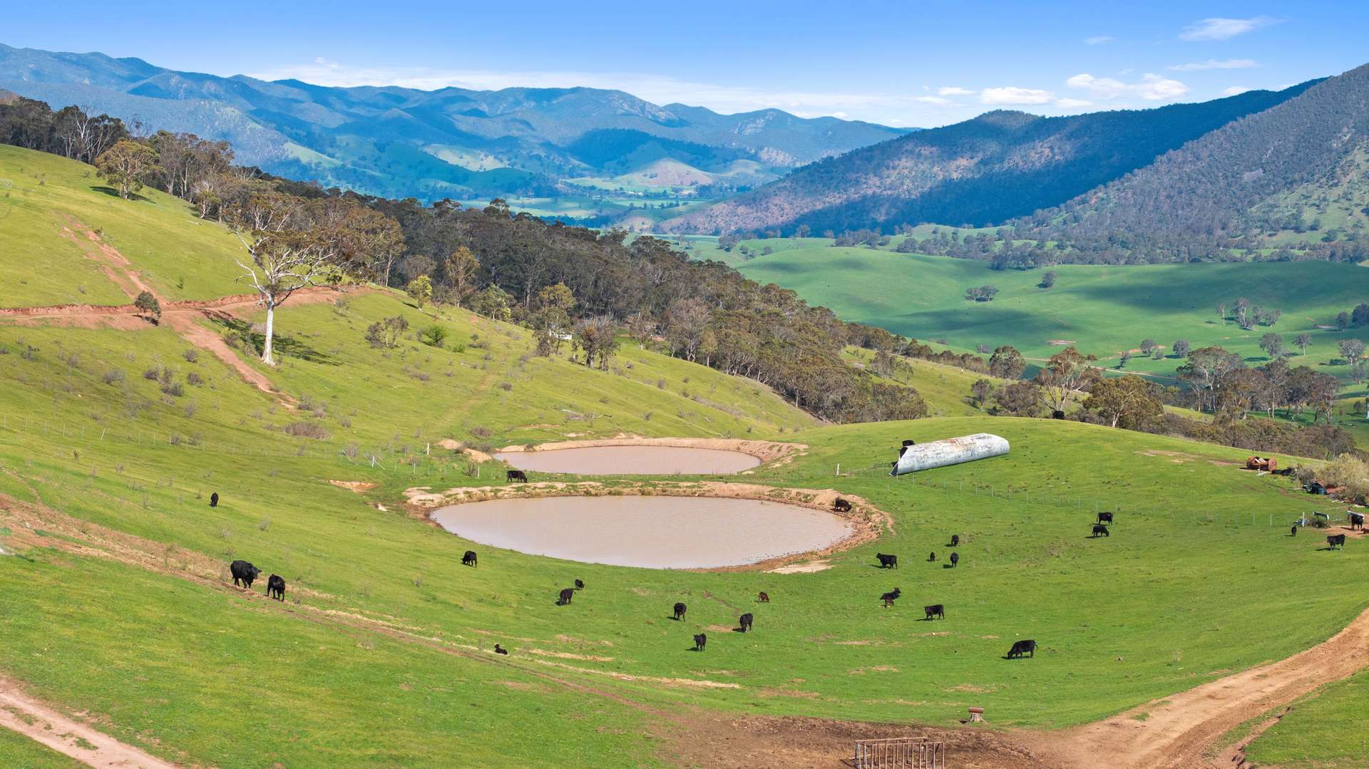 Lot 6 - 914 Target Creek Road, Licola For Sale by Farmbuy.com - image 3