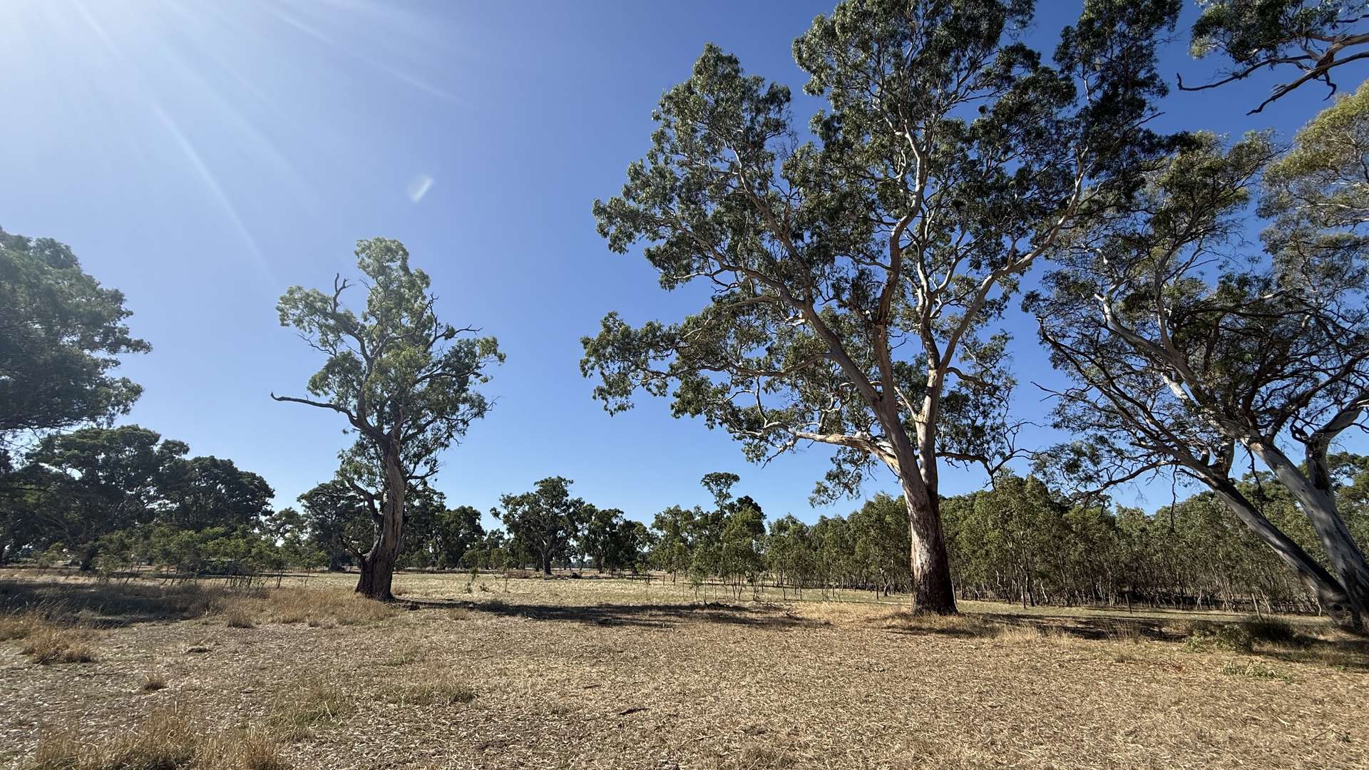Allotment/2 V&A Lane, Penola For Sale by Farmbuy.com - image 1