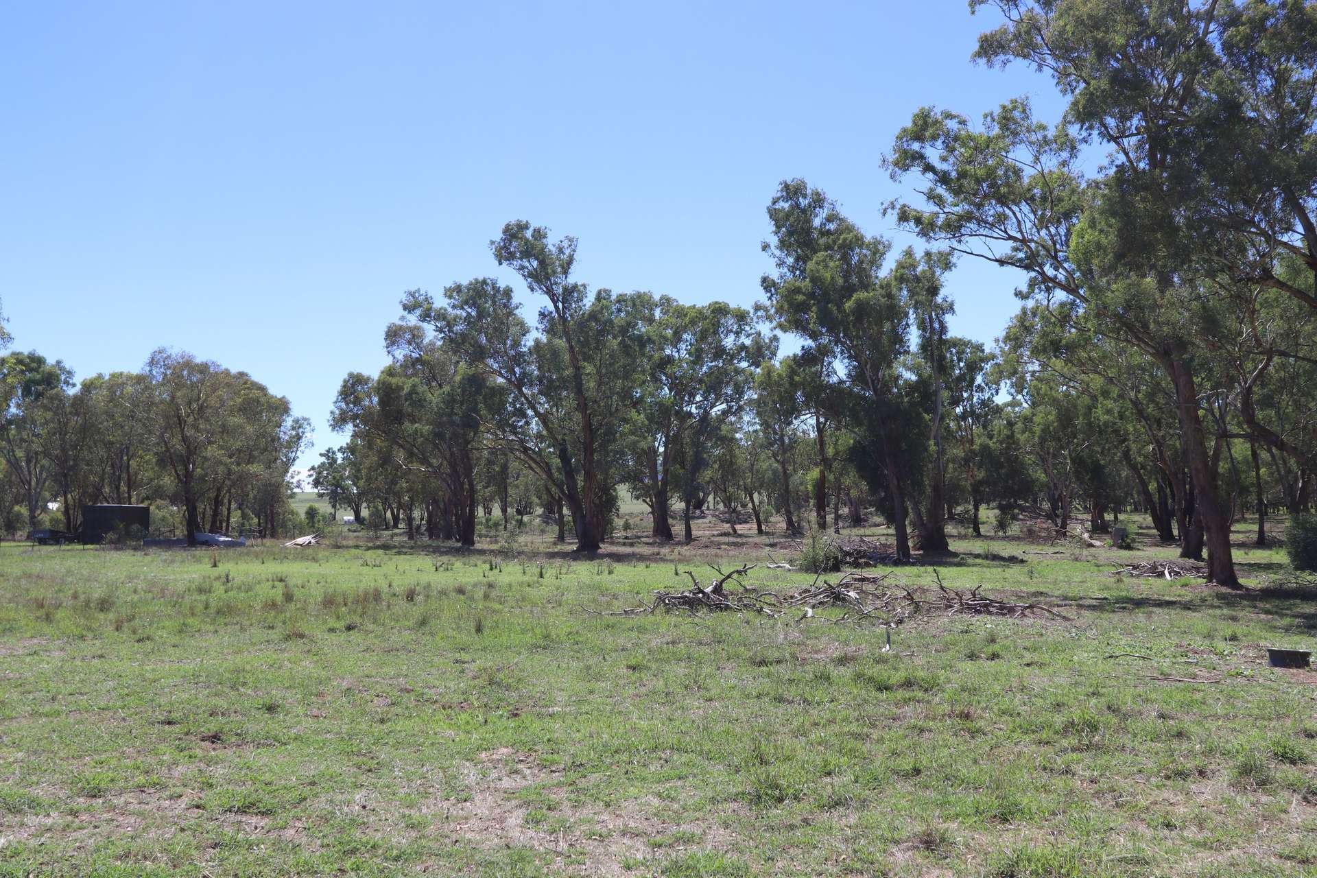 52 BENDICK MURRELL ROAD, Bendick Murrell Via, Young Sold by Farmbuy.com - image 5