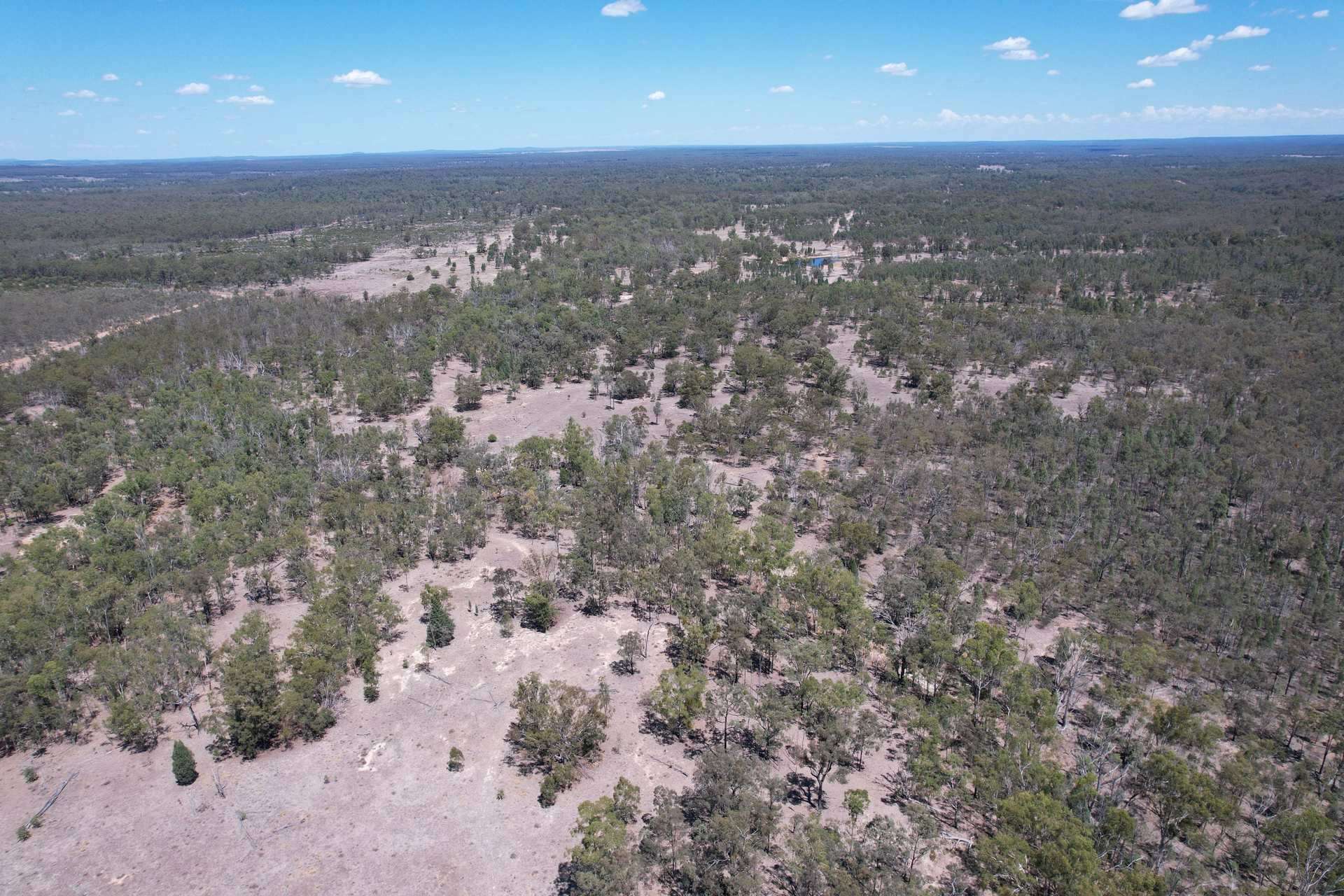 Mosquito Creek Road, Inglewood For Sale by Farmbuy.com - image 2