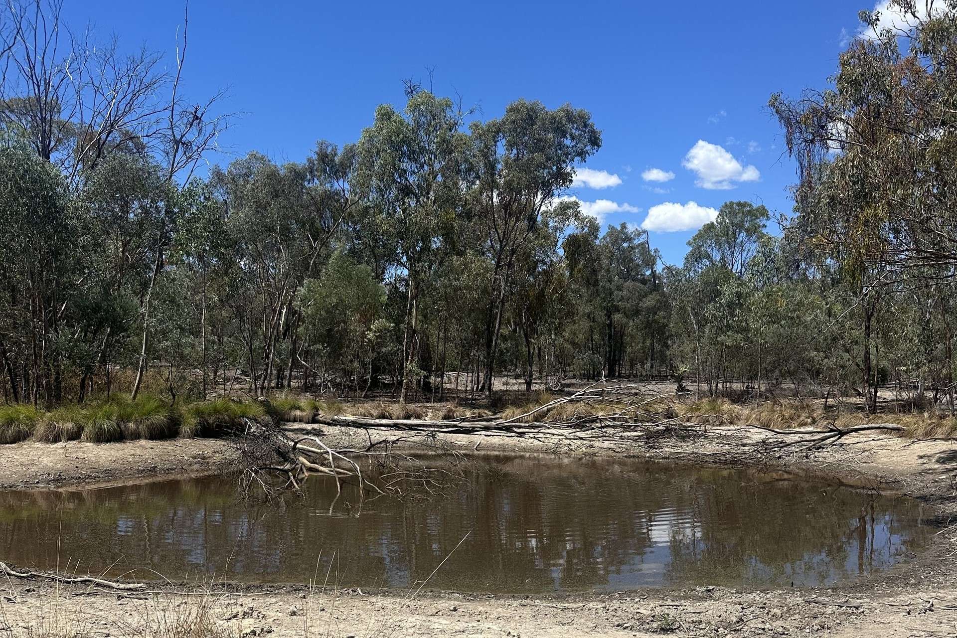 Mosquito Creek Road, Inglewood For Sale by Farmbuy.com - image 14