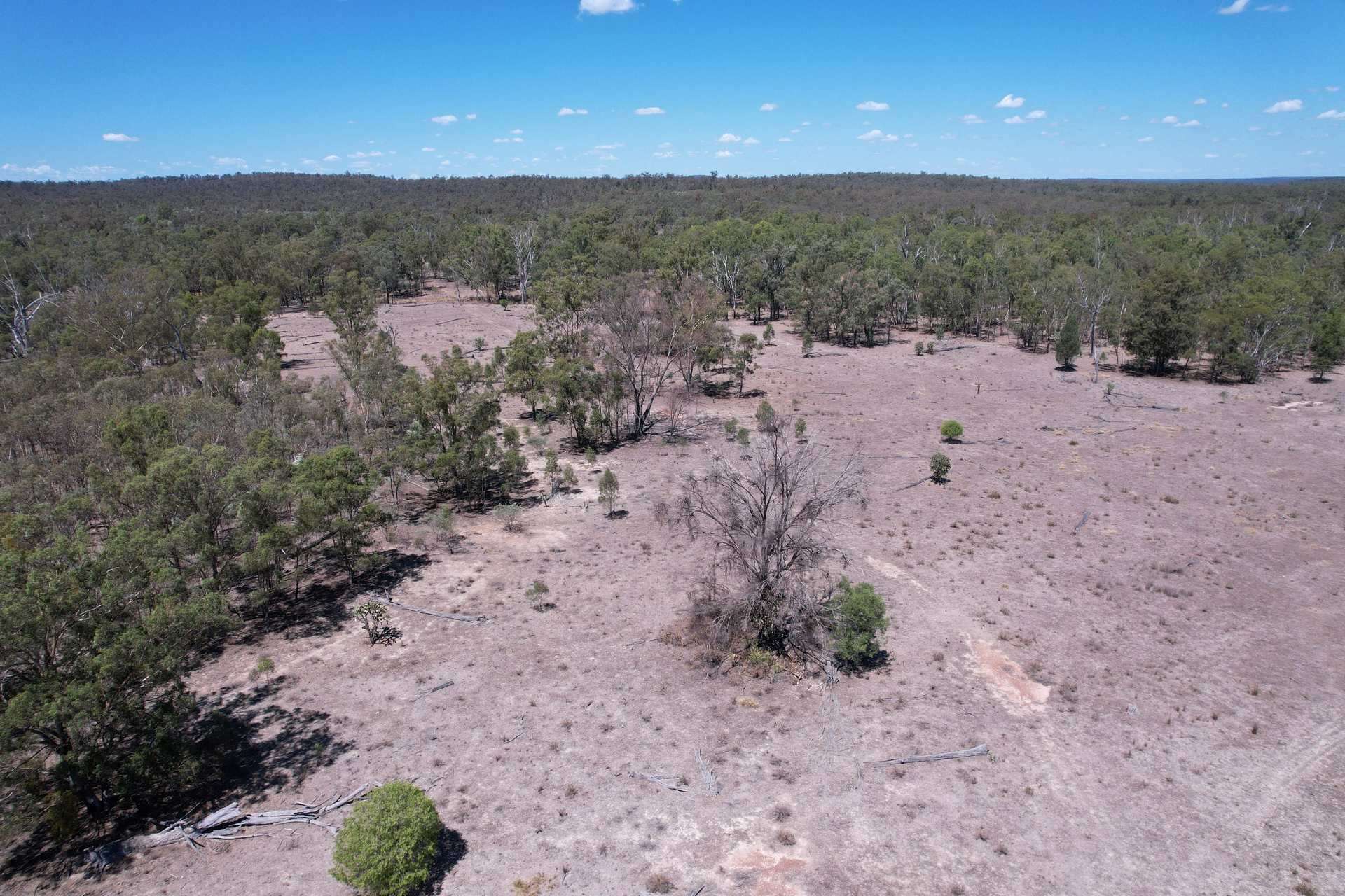 Mosquito Creek Road, Inglewood For Sale by Farmbuy.com - image 3