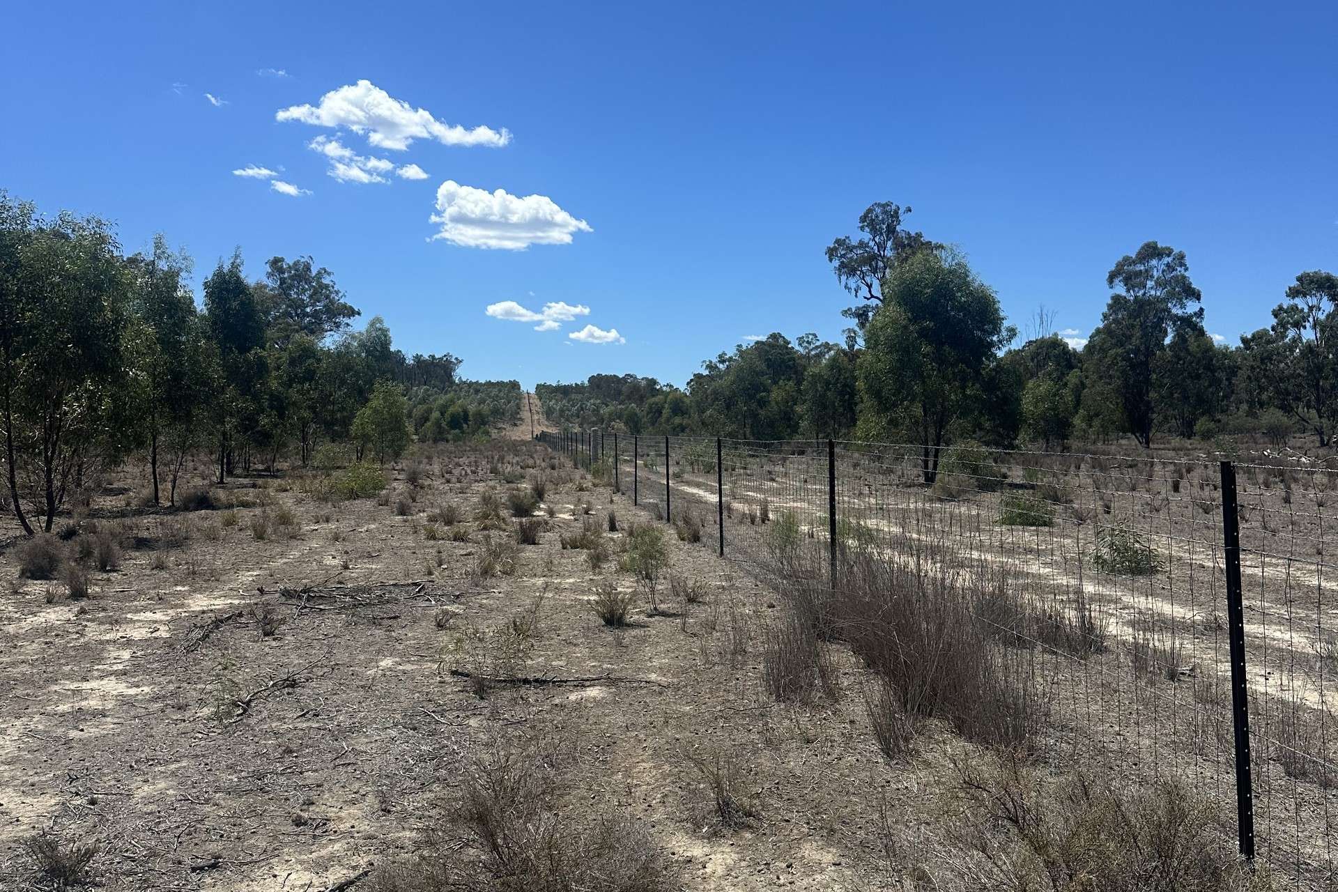 Mosquito Creek Road, Inglewood For Sale by Farmbuy.com - image 10