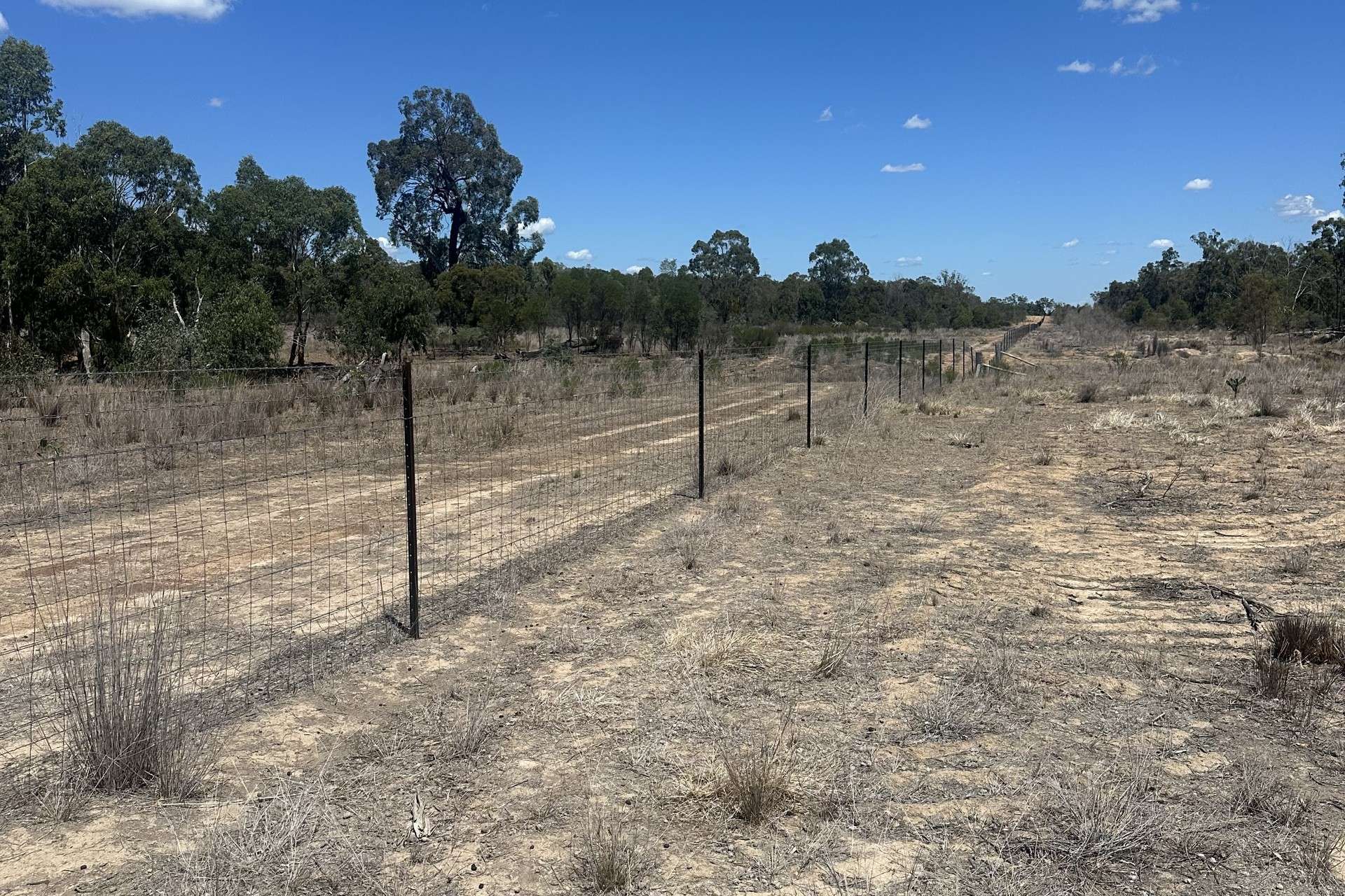 Mosquito Creek Road, Inglewood For Sale by Farmbuy.com - image 11