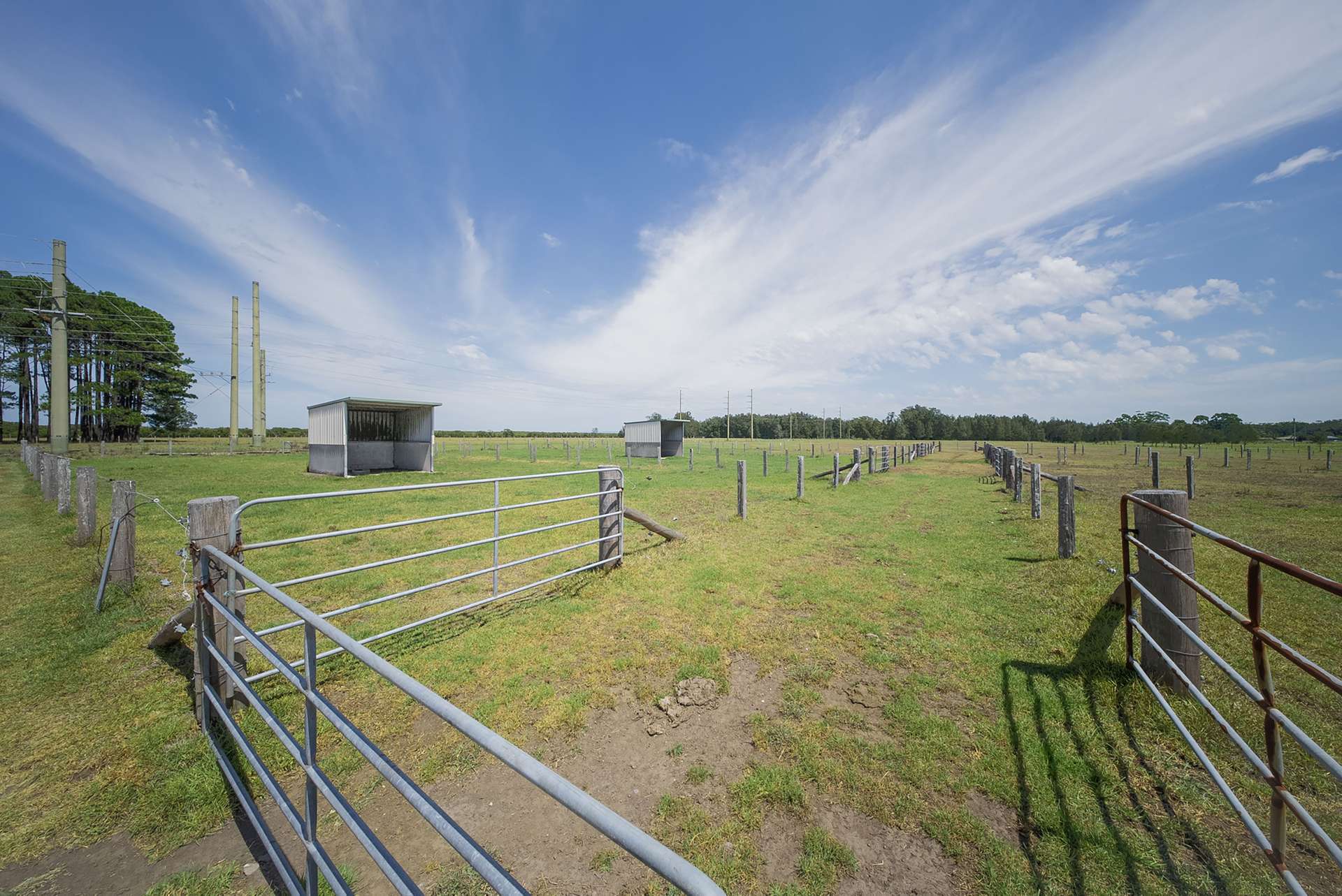 285 Cabbage Tree Road, Williamtown For Sale by Farmbuy.com - image 5