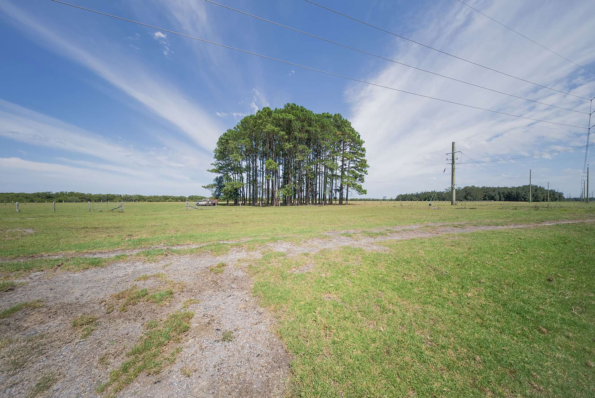 285 Cabbage Tree Road, Williamtown For Sale by Farmbuy.com - image 23