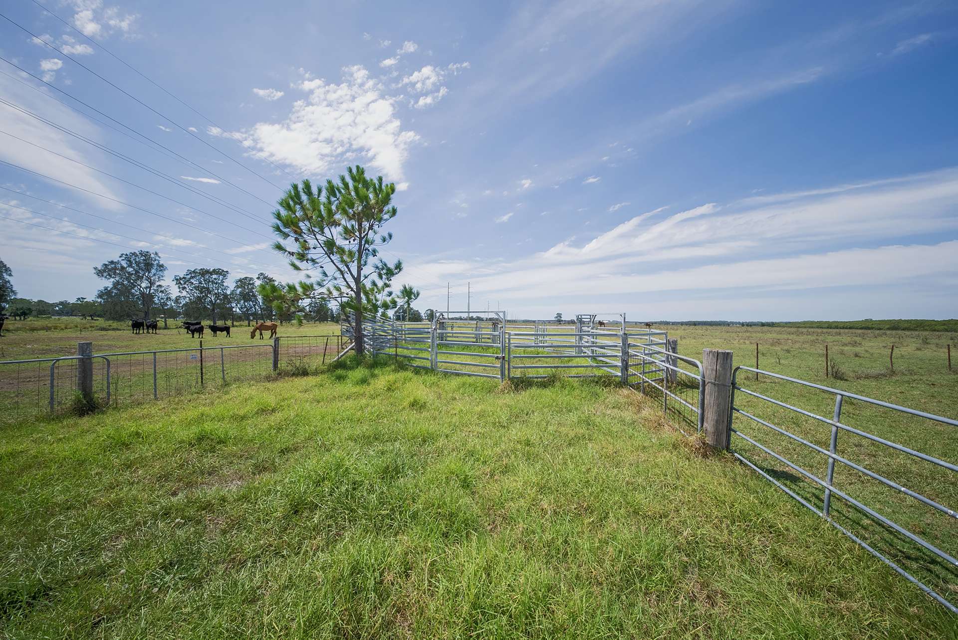 285 Cabbage Tree Road, Williamtown For Sale by Farmbuy.com - image 24