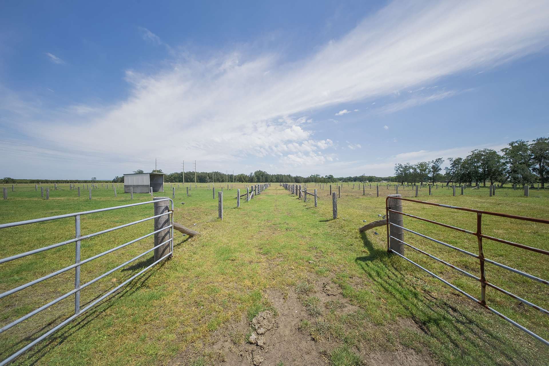 285 Cabbage Tree Road, Williamtown For Sale by Farmbuy.com - image 21