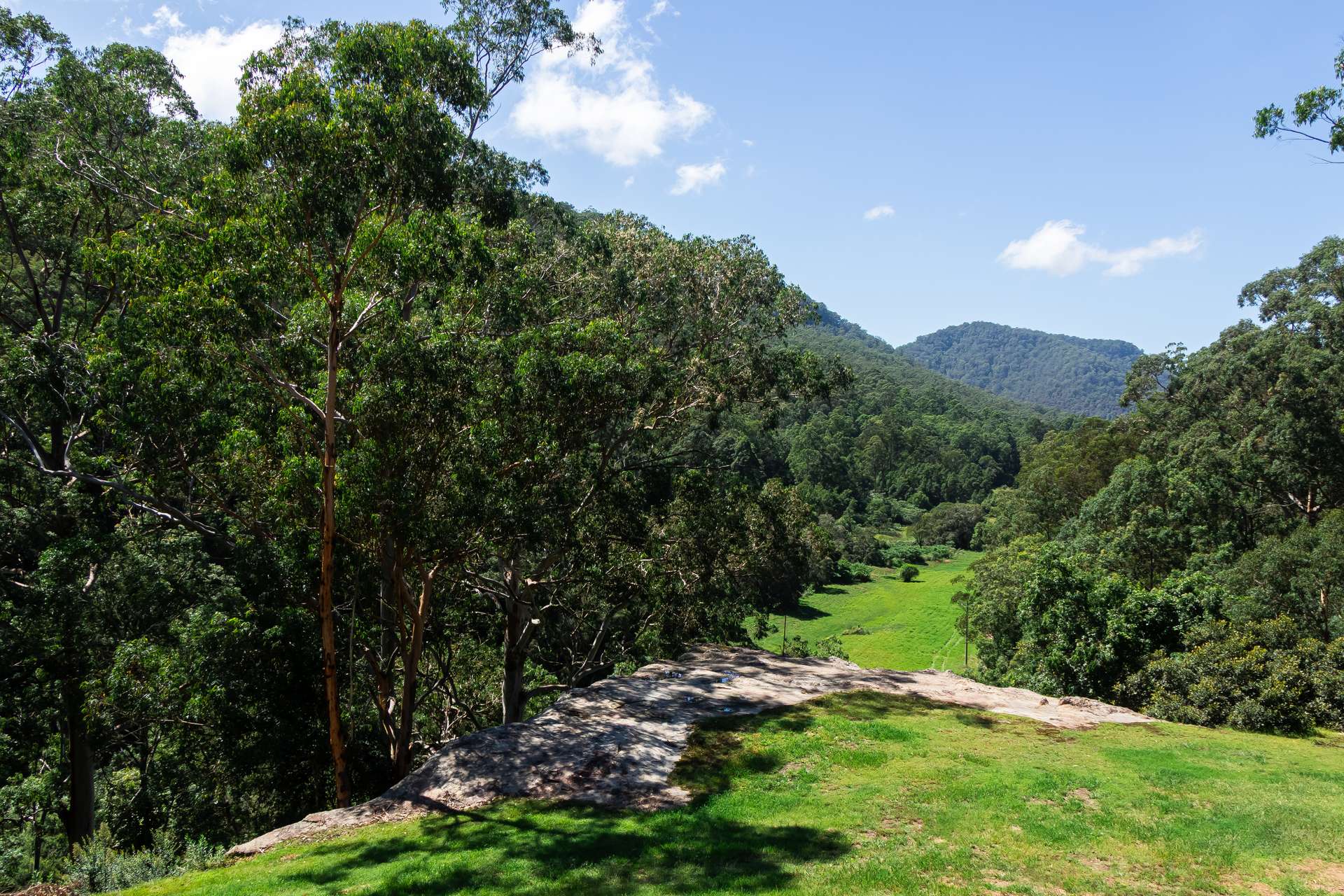 35 Dogwood Road, Laguna For Sale by Farmbuy.com - image 3