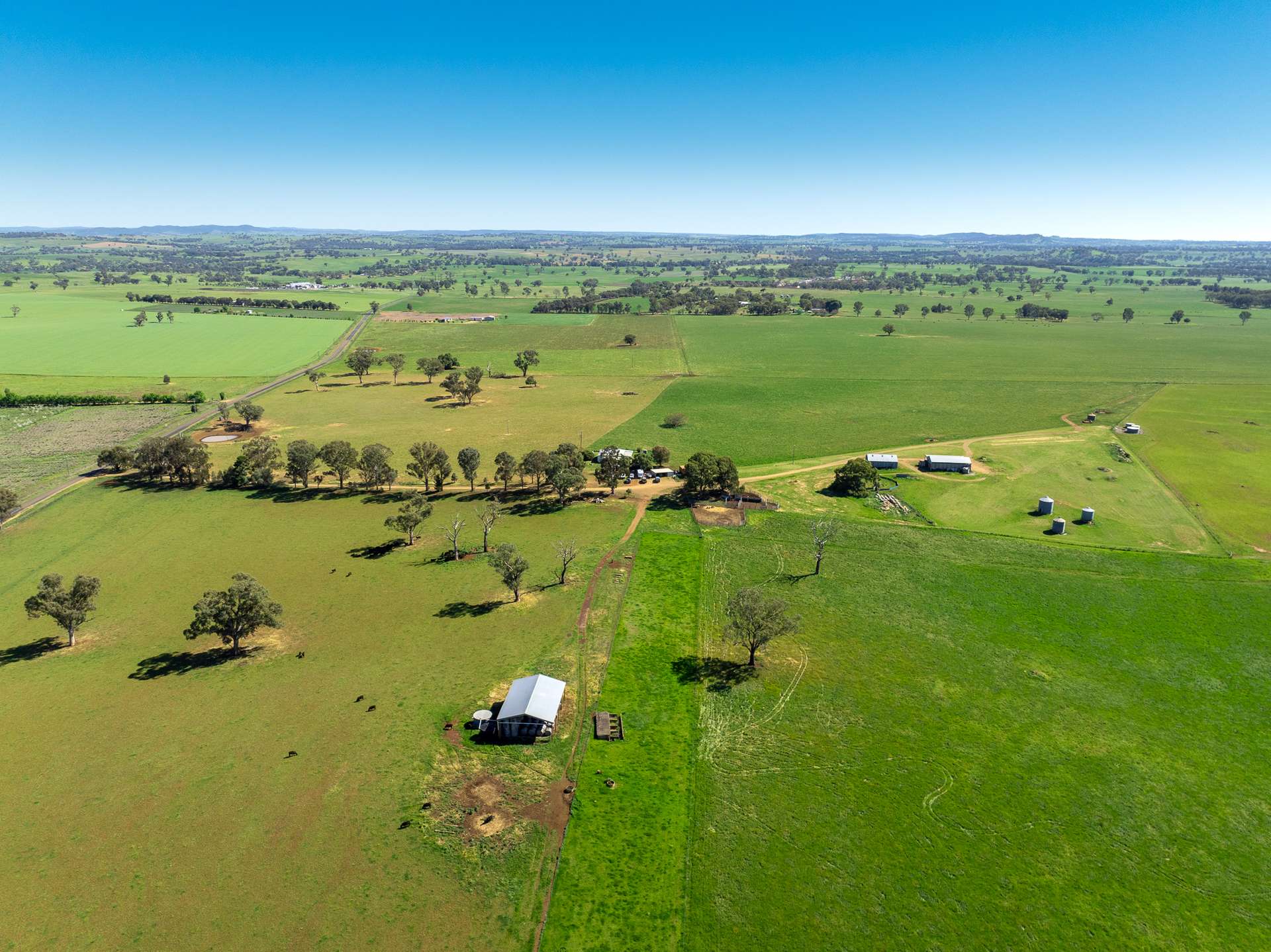 'Wandella Park' 1097 Davys Plains Road Via Cudal, Orange For Sale by Farmbuy.com - image 24