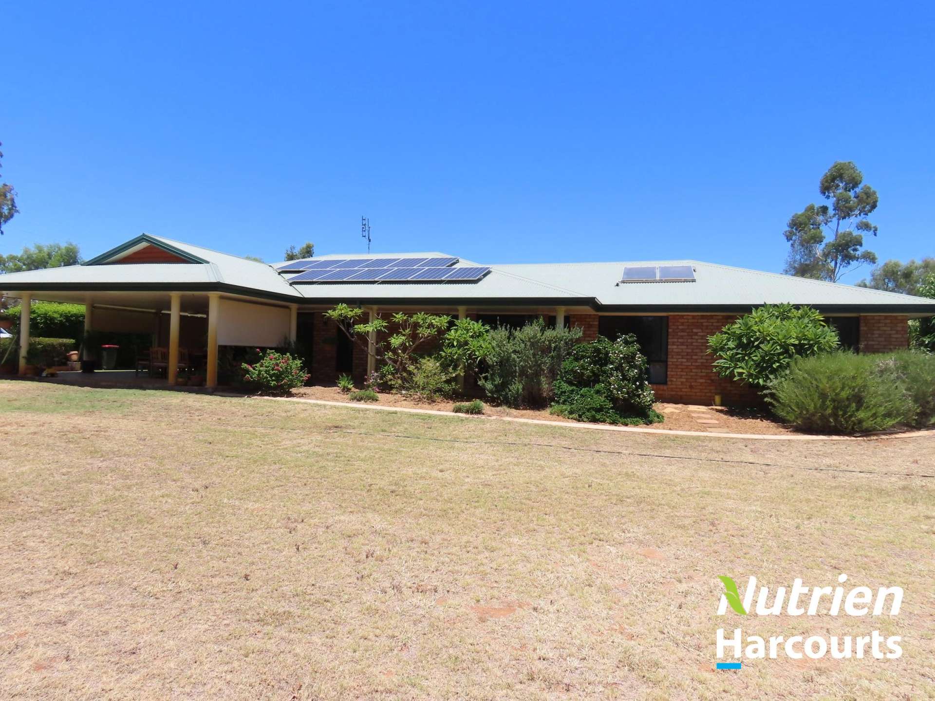 37 Oak Street, Chinchilla Sold by Farmbuy.com - image 2