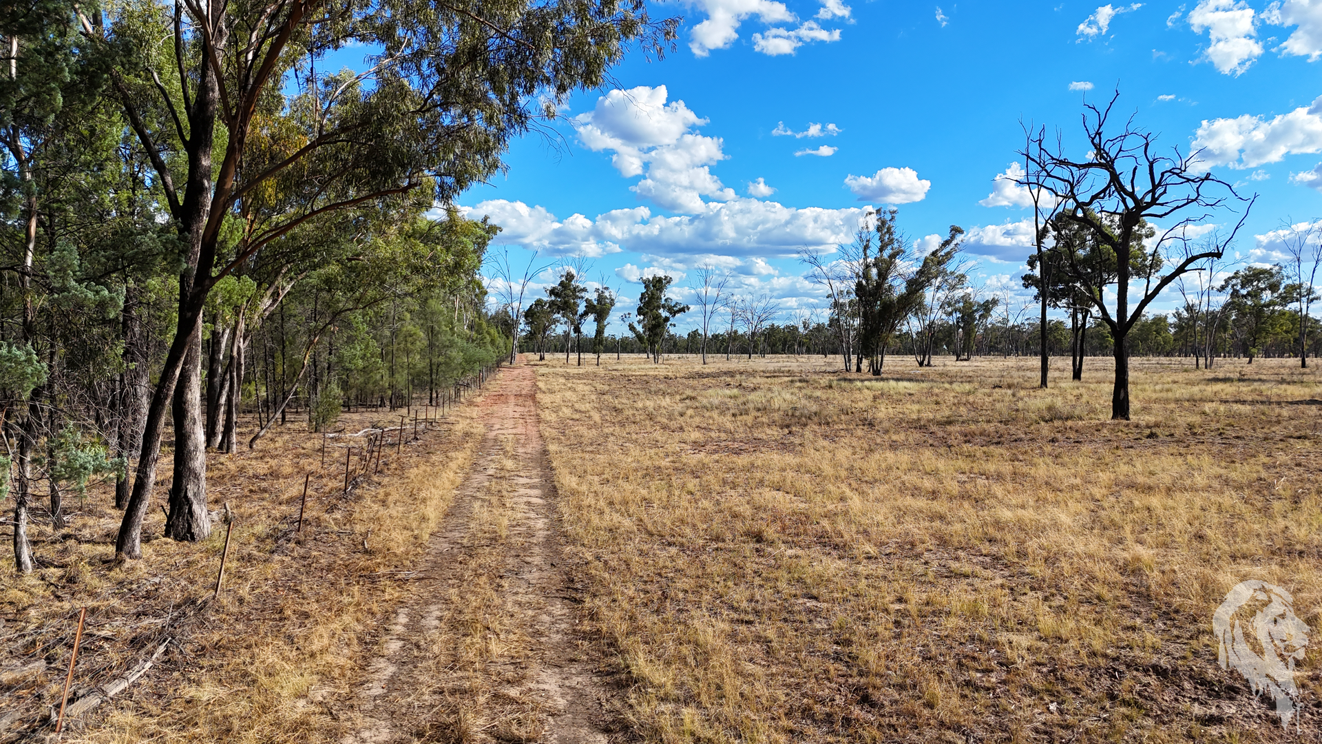 10402 Newell Highway, Jacks Creek For Sale by Farmbuy.com - image 7