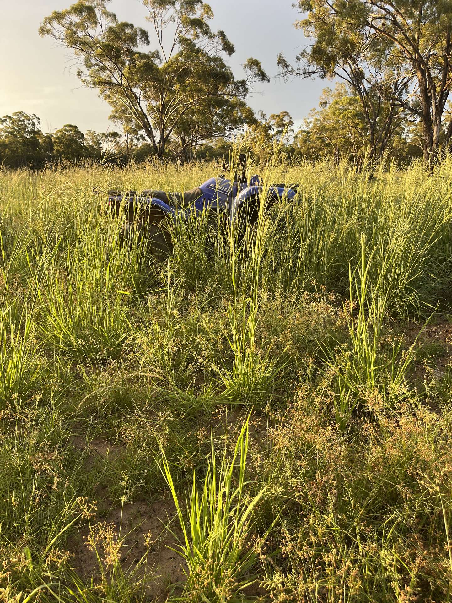 10402 Newell Highway, Jacks Creek For Sale by Farmbuy.com - image 5