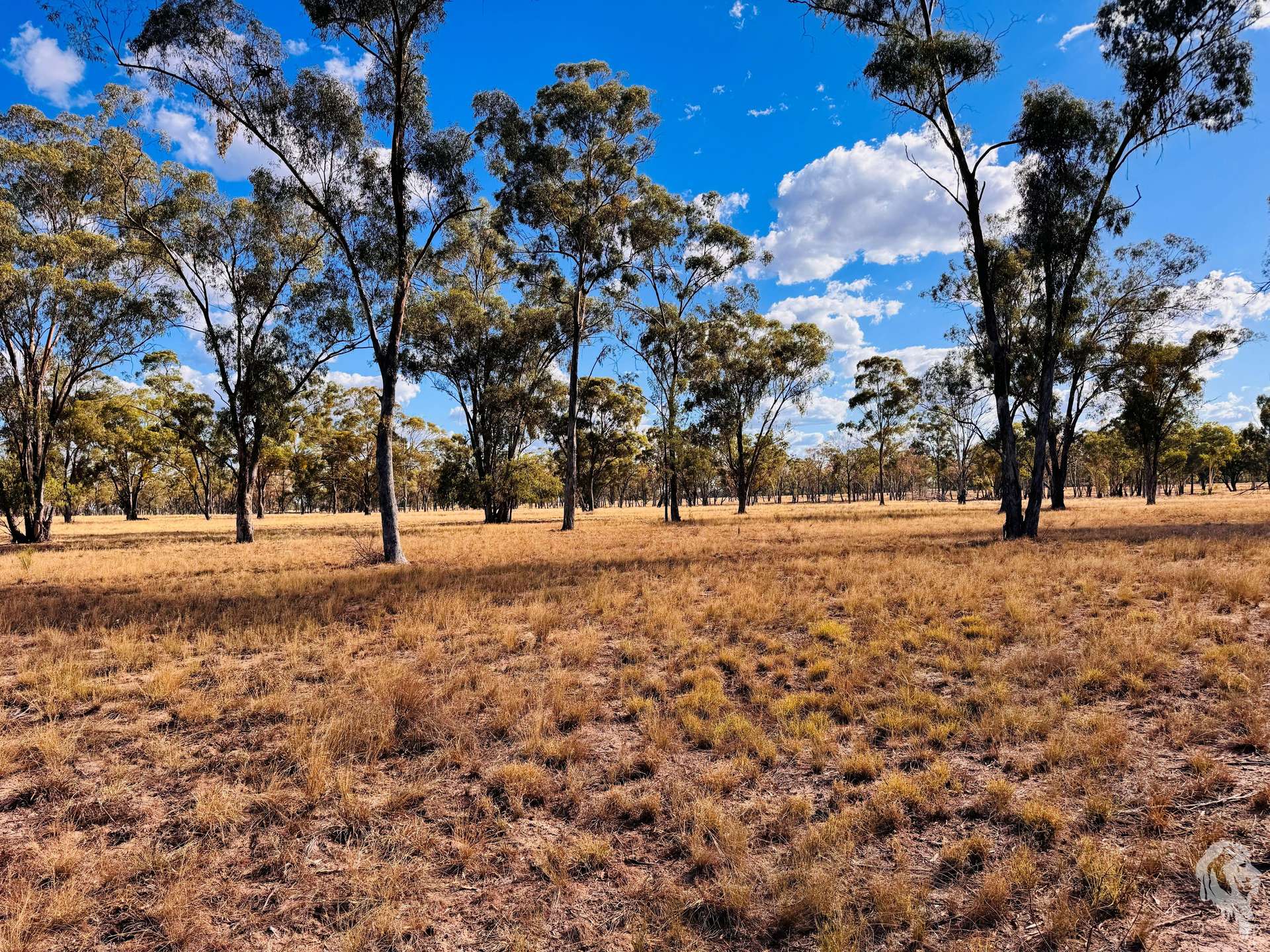 10402 Newell Highway, Jacks Creek For Sale by Farmbuy.com - image 8