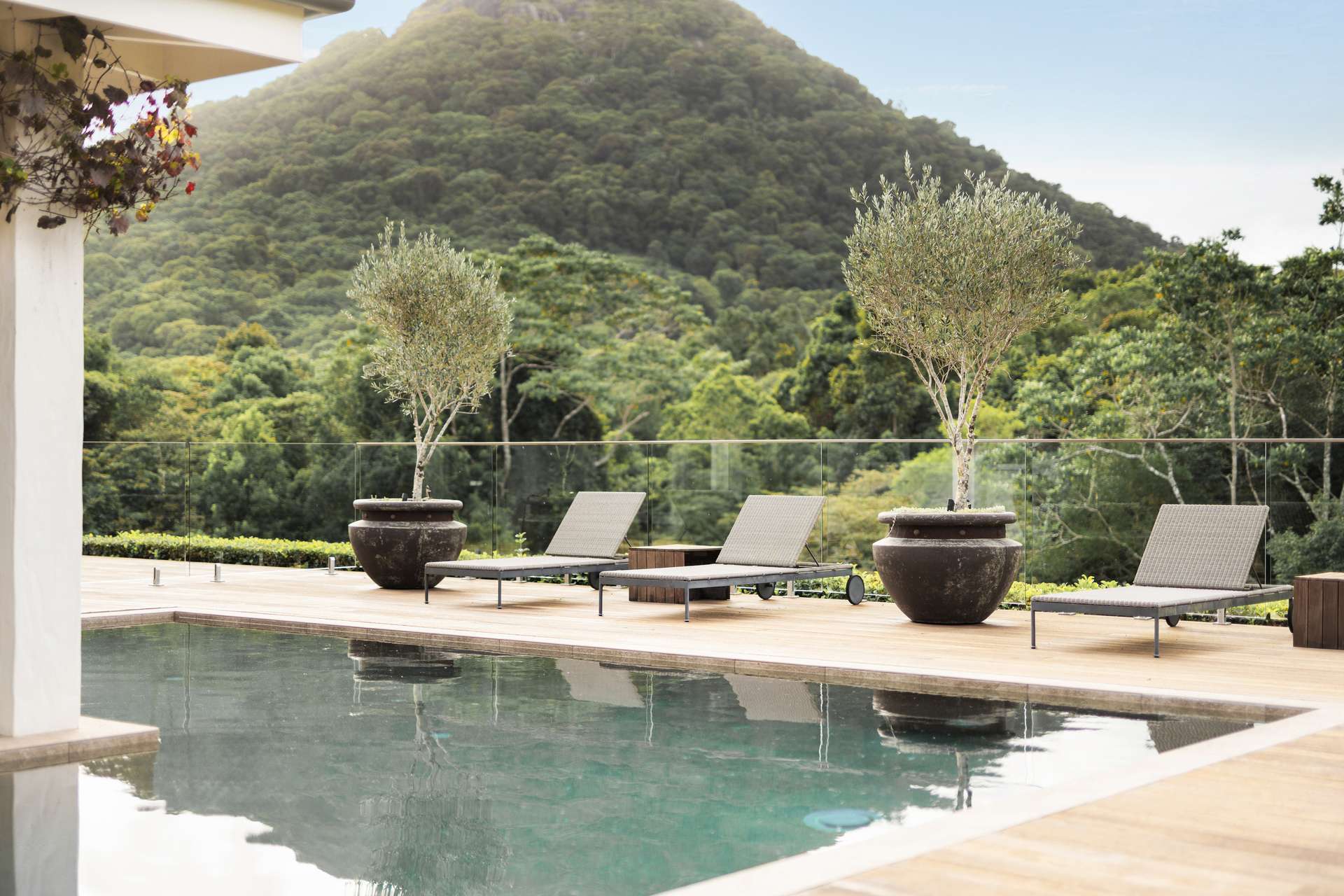 Cooroy Mountain For Sale by Farmbuy.com - image 3