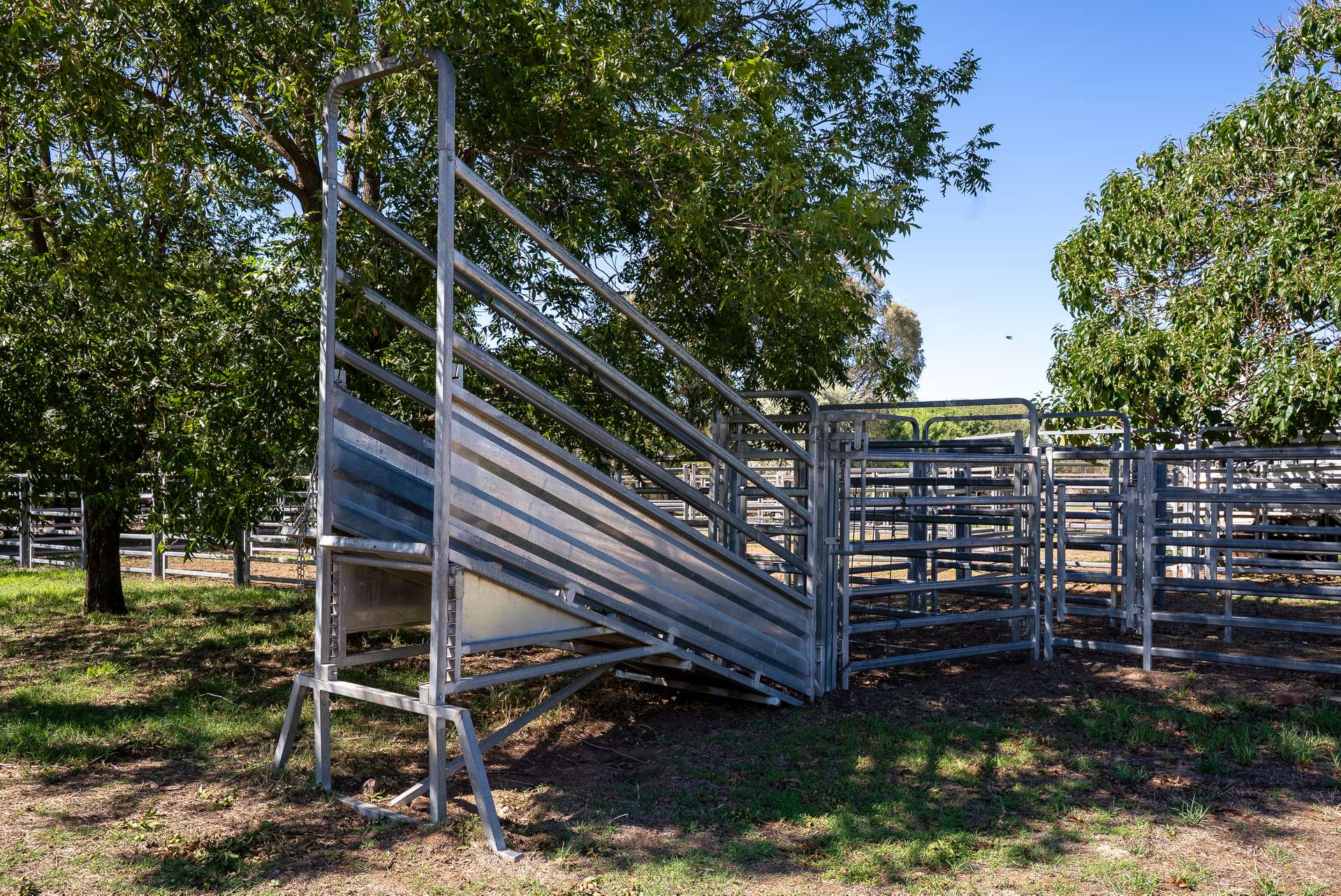 7963 Mitchell Highway, Wellington For Sale by Farmbuy.com - image 8