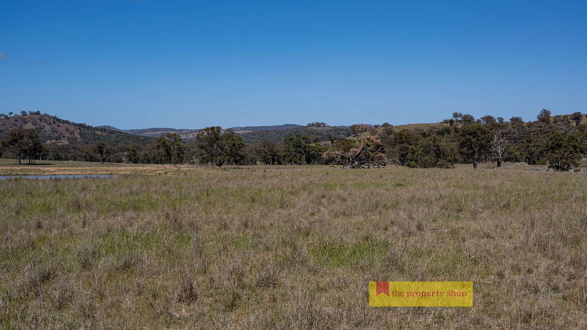 1641 Castlereagh Highway, Mudgee For Sale by Farmbuy.com - image 3
