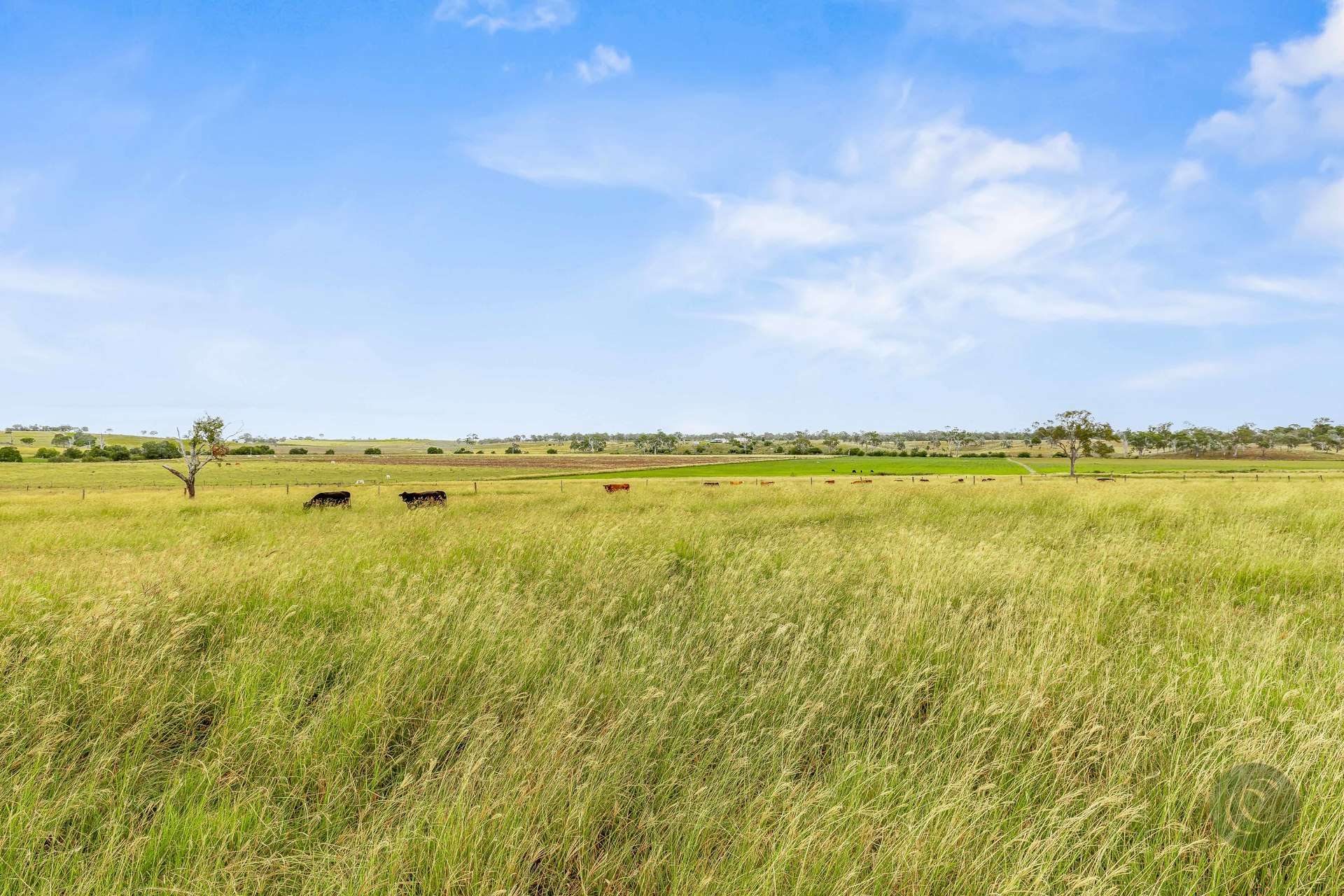 122 Goschnicks Road, Redgate For Sale by Farmbuy.com - image 26