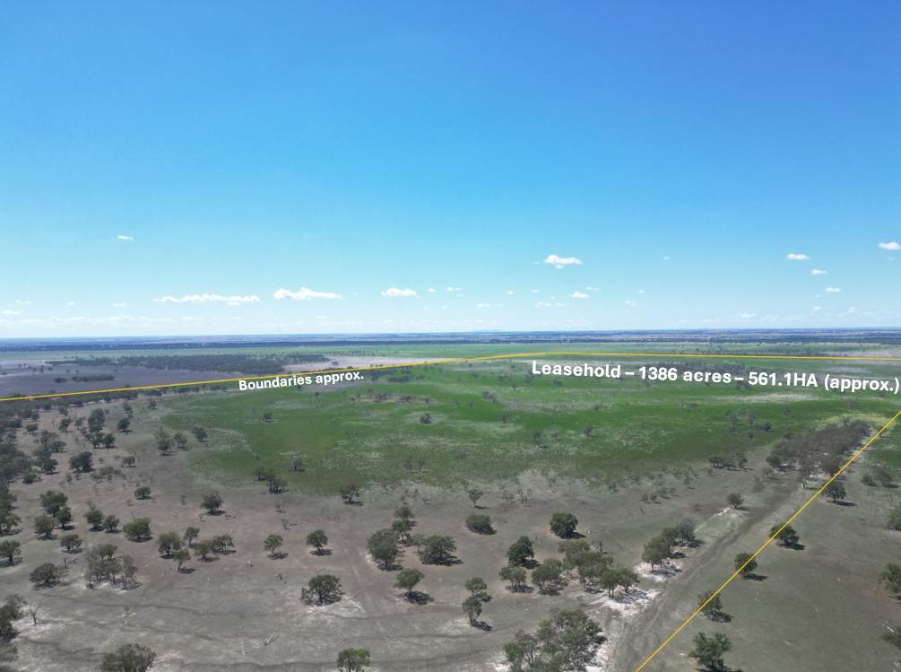 Lot LOT 1 LP135805, 1 Cocketgedong Road, Urana Sold by Farmbuy.com - image 5