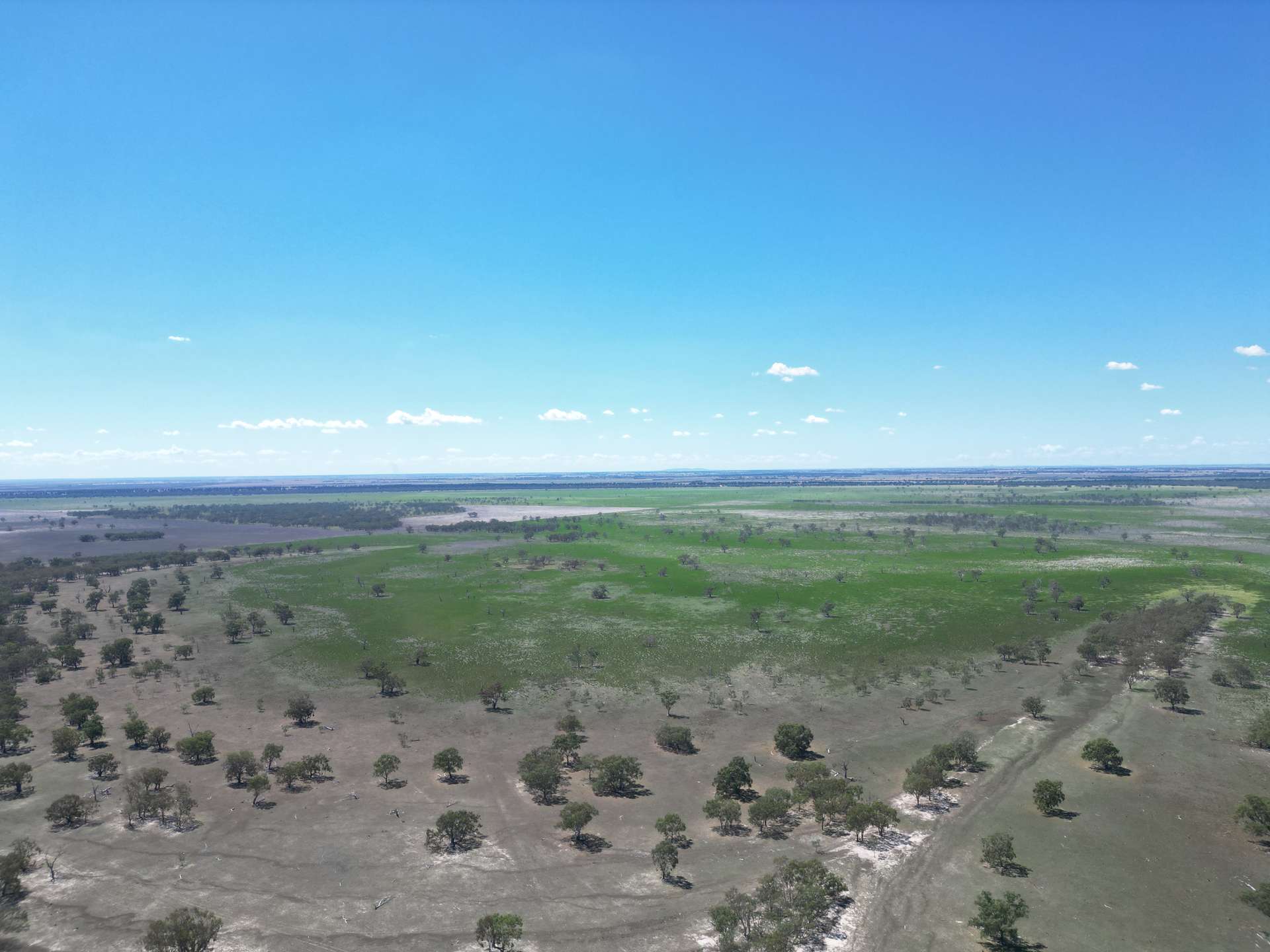 Lot LOT 1 LP135805, 1 Cocketgedong Road, Urana Sold by Farmbuy.com - image 8