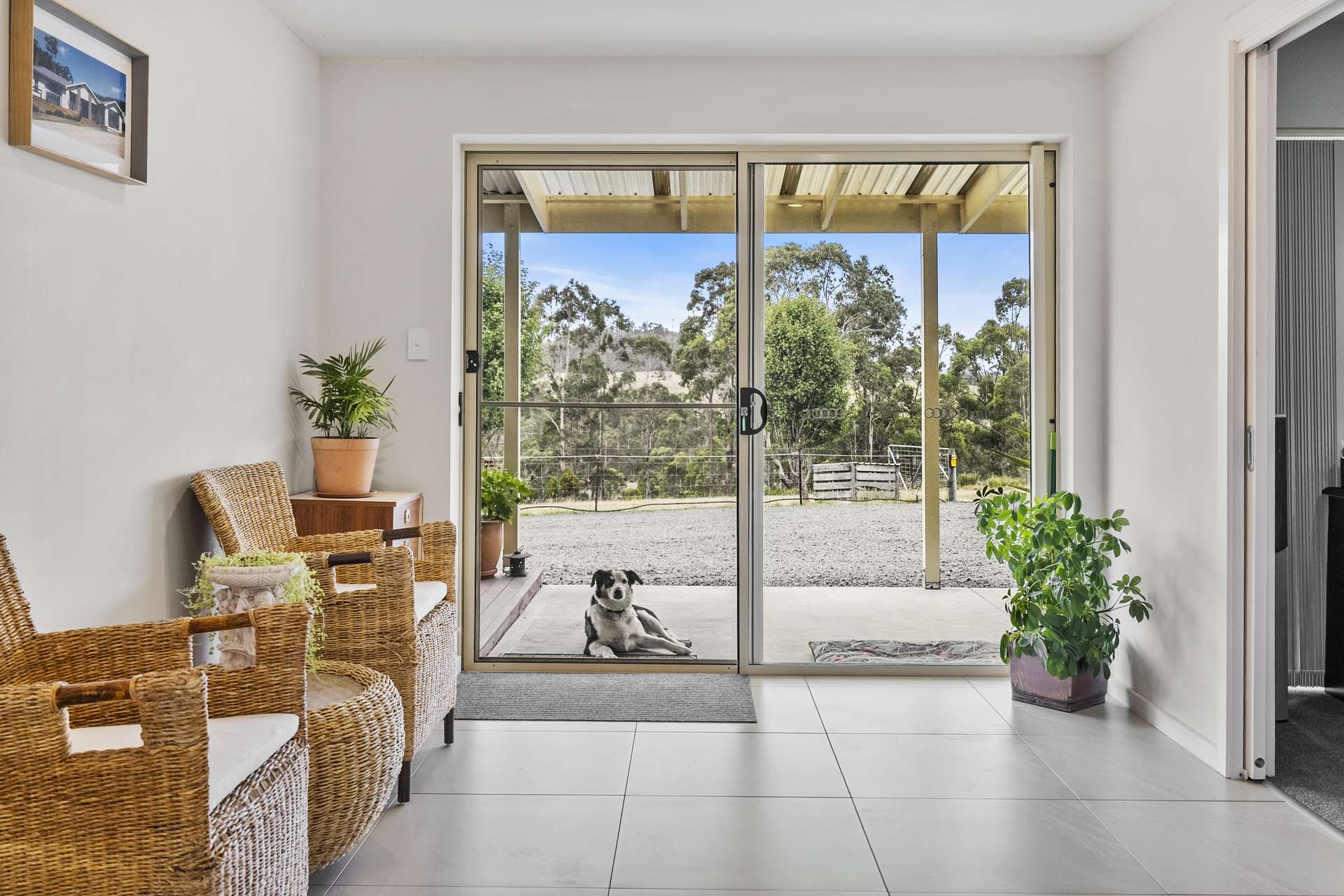 94 Blue Hills Road, Copping For Sale by Farmbuy.com - image 23
