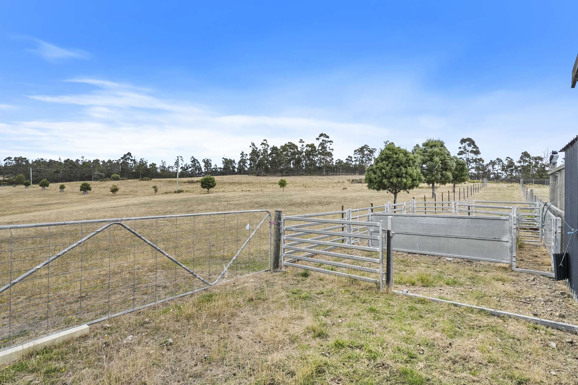 94 Blue Hills Road, Copping For Sale by Farmbuy.com - image 32