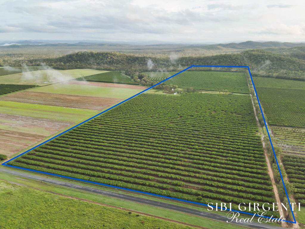 Lot 263&comma; 71 Gilmore Road, Mareeba QLD 4880