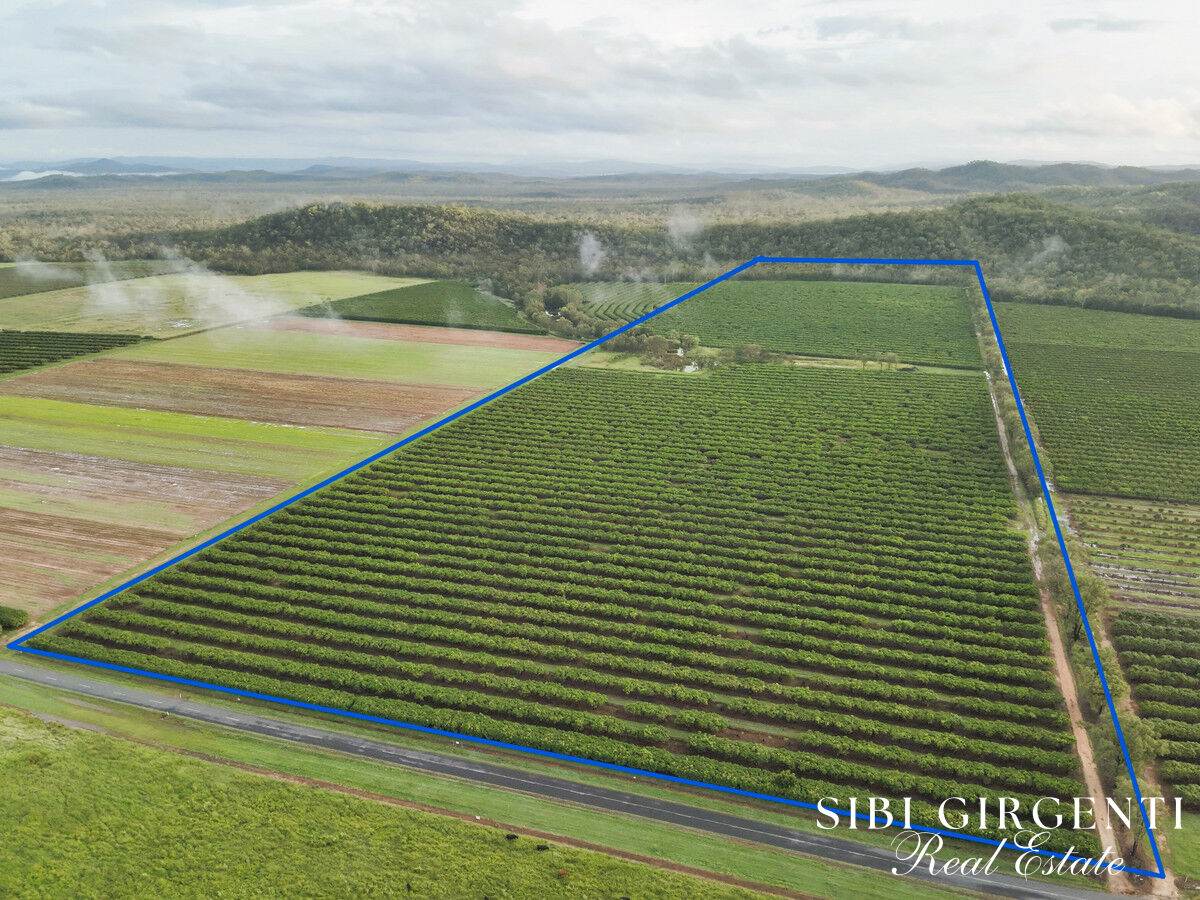 Lot 263, 71 Gilmore Road, Mareeba For Sale by Farmbuy.com - image 1