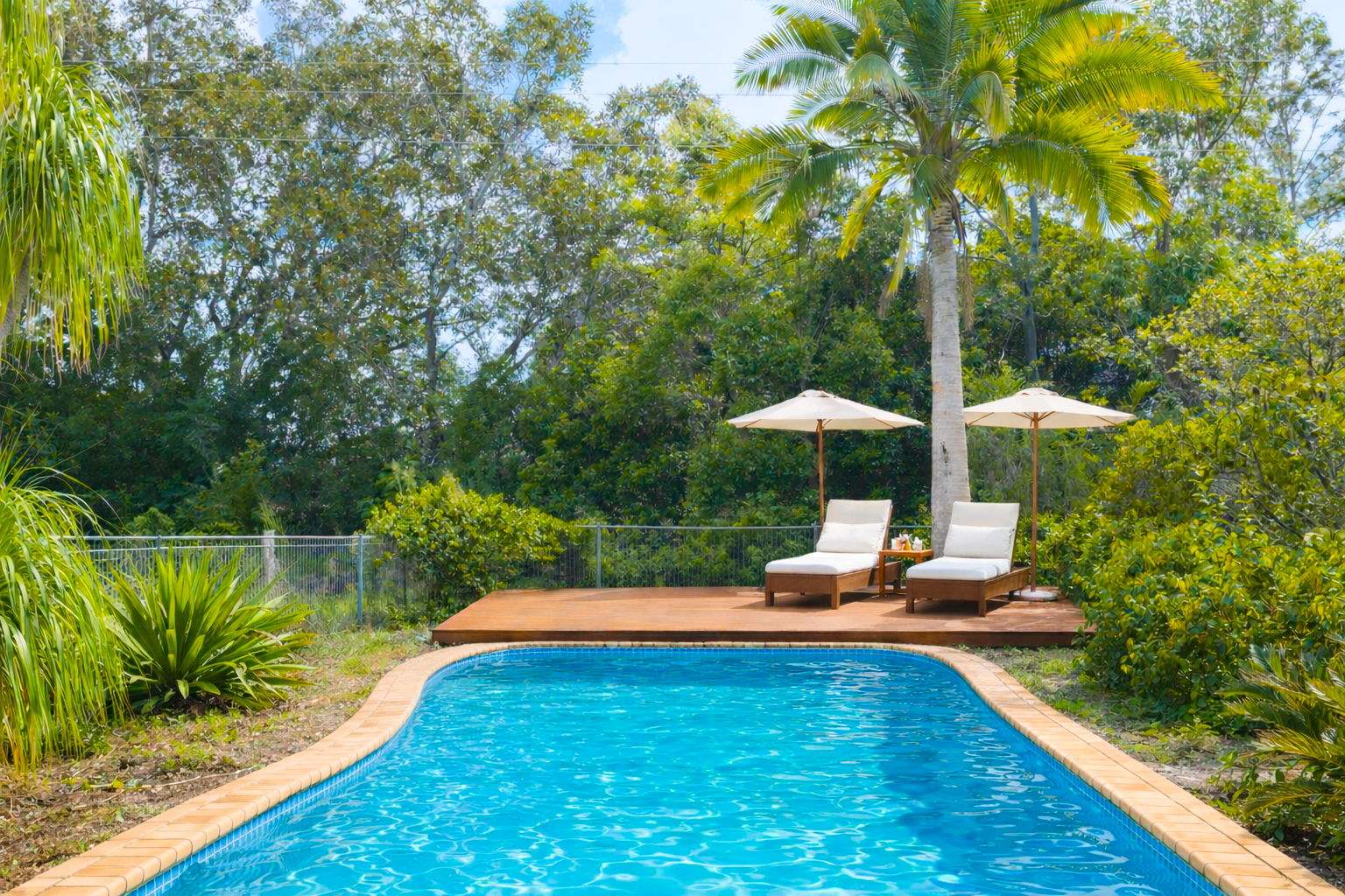 219 Stony Chute Road, Nimbin For Sale by Farmbuy.com - image 5