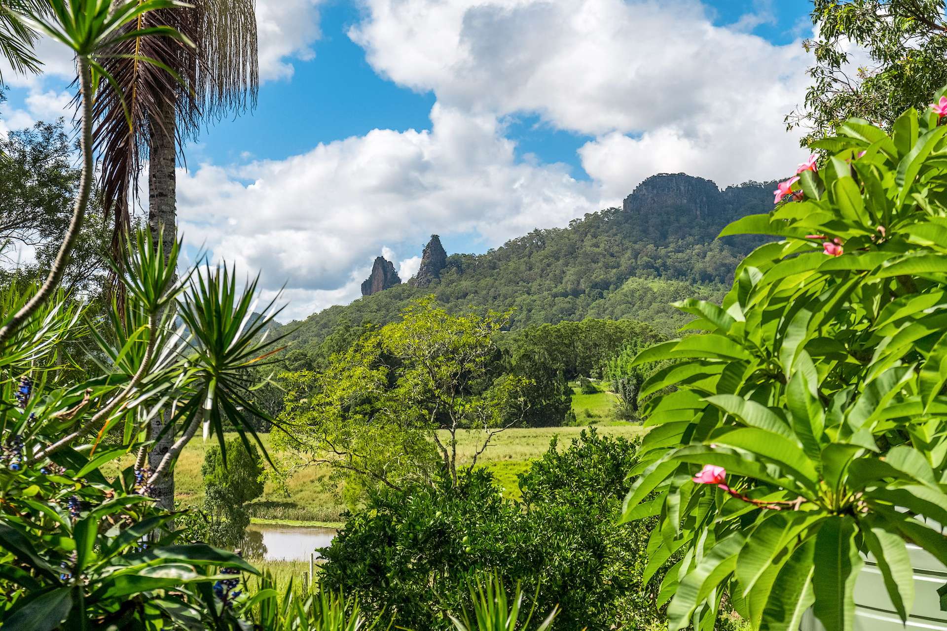 219 Stony Chute Road, Nimbin For Sale by Farmbuy.com - image 18