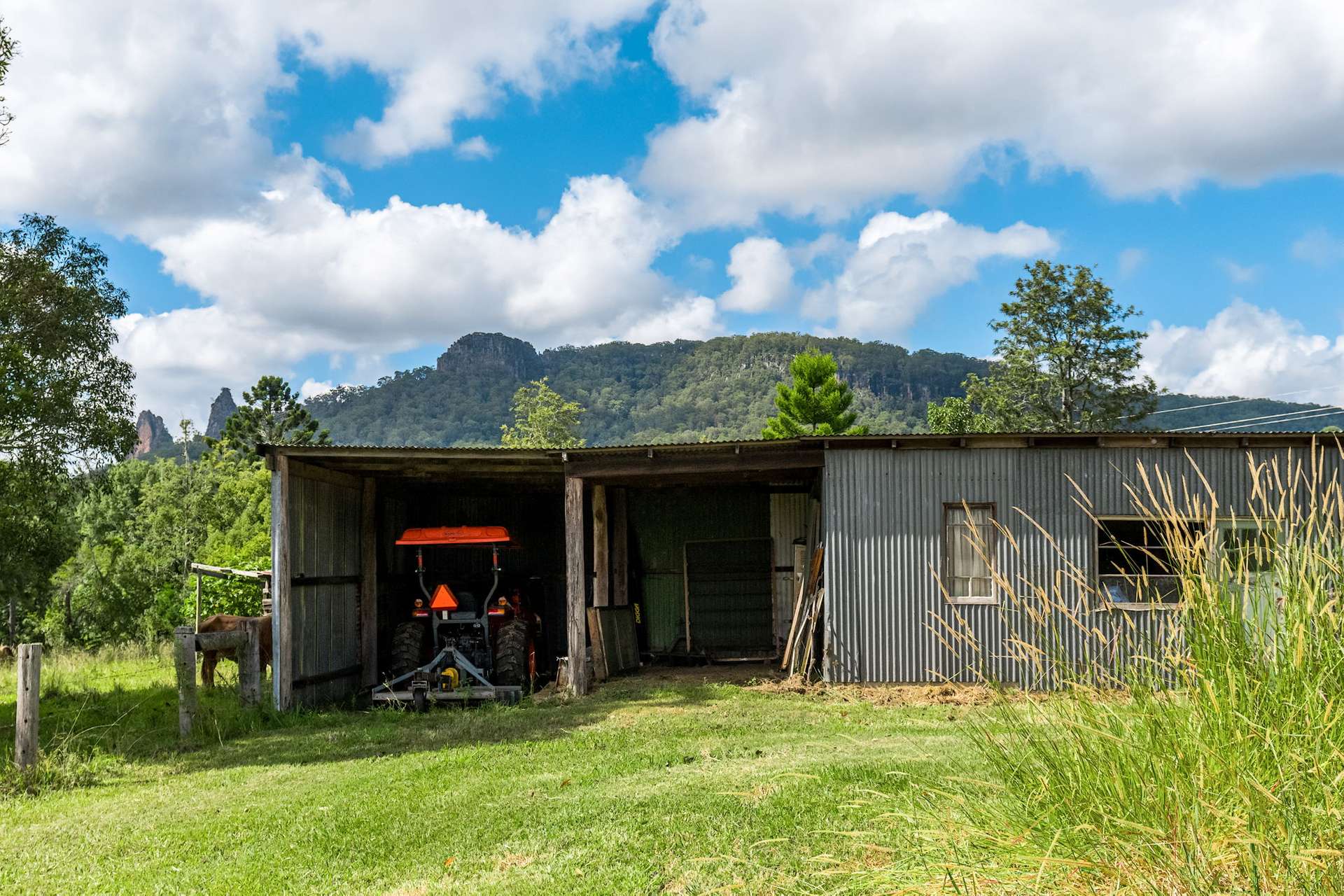 219 Stony Chute Road, Nimbin For Sale by Farmbuy.com - image 22