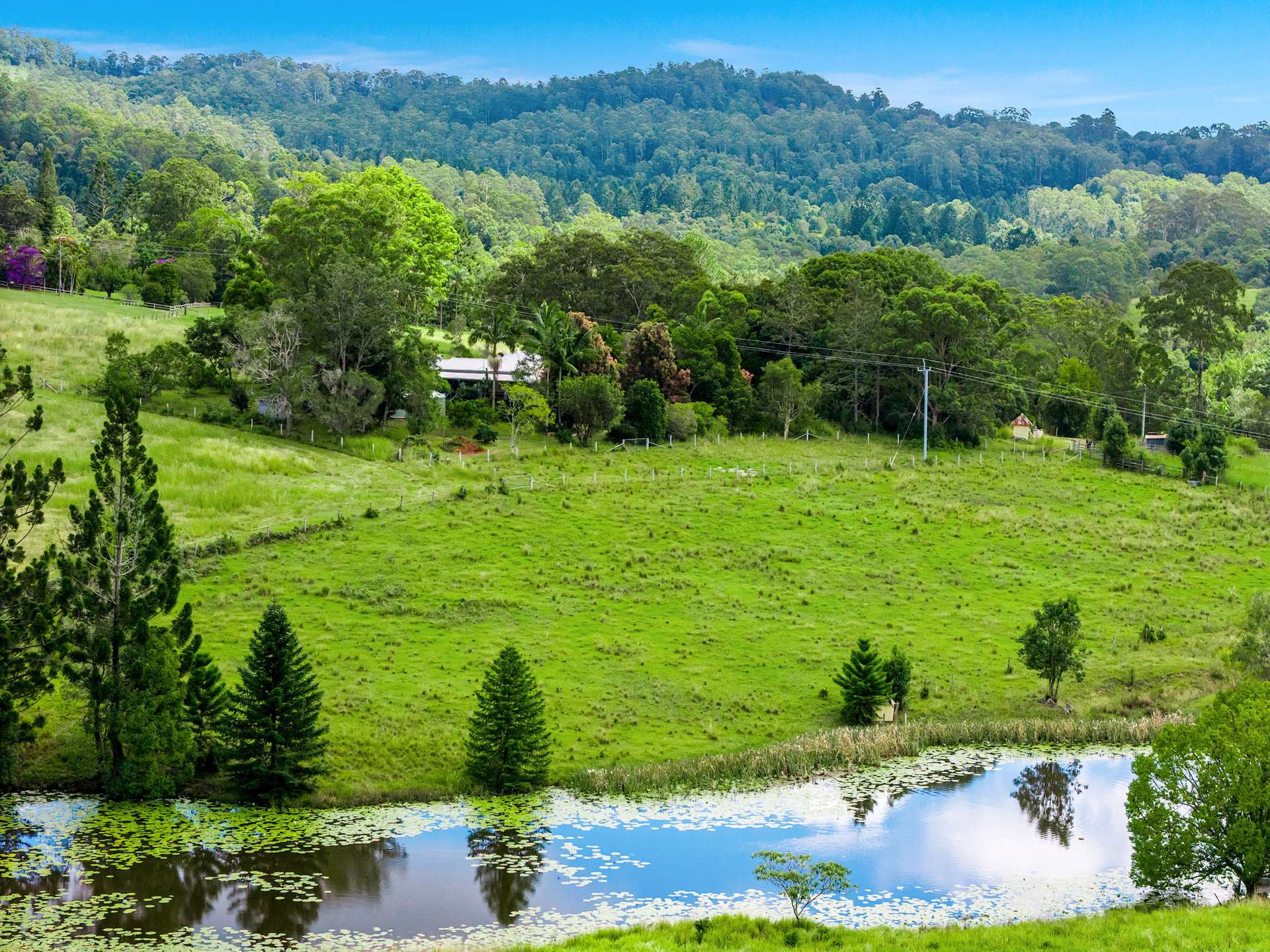 219 Stony Chute Road, Nimbin For Sale by Farmbuy.com - image 19