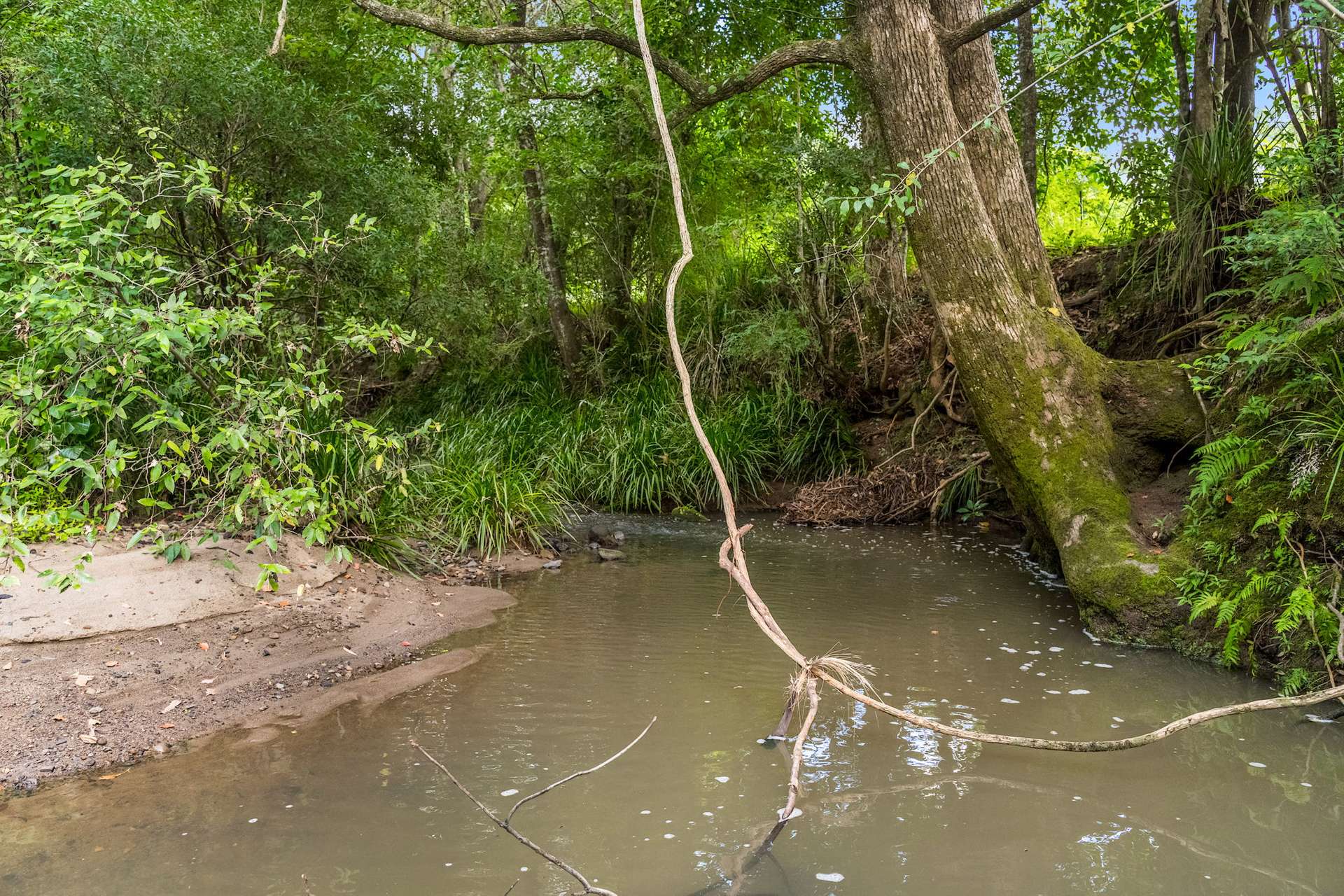 219 Stony Chute Road, Nimbin For Sale by Farmbuy.com - image 29