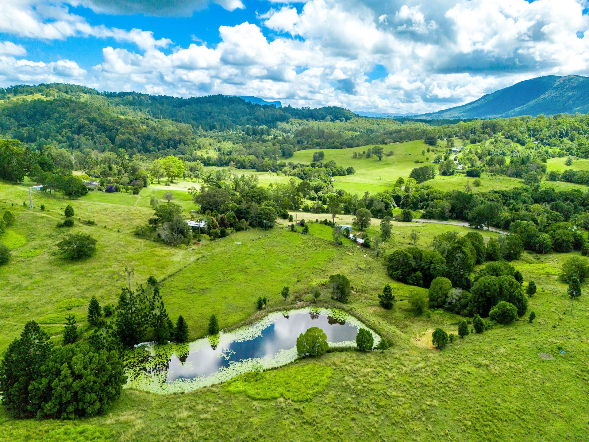 219 Stony Chute Road, Nimbin For Sale by Farmbuy.com - image 26
